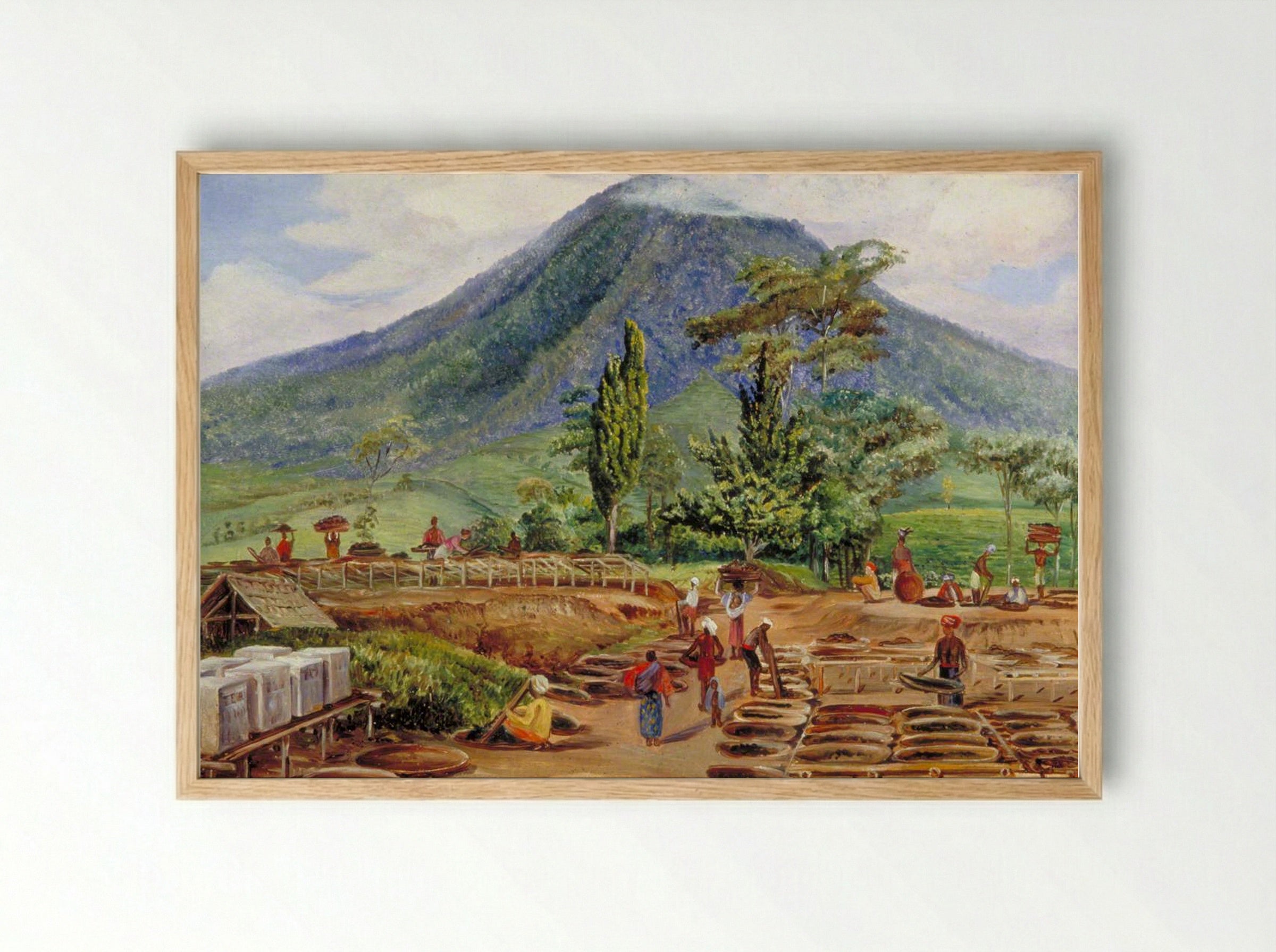 Tea-Drying in Mr Hölle's Establishment, Java - Marianne North - Framed Print Wood