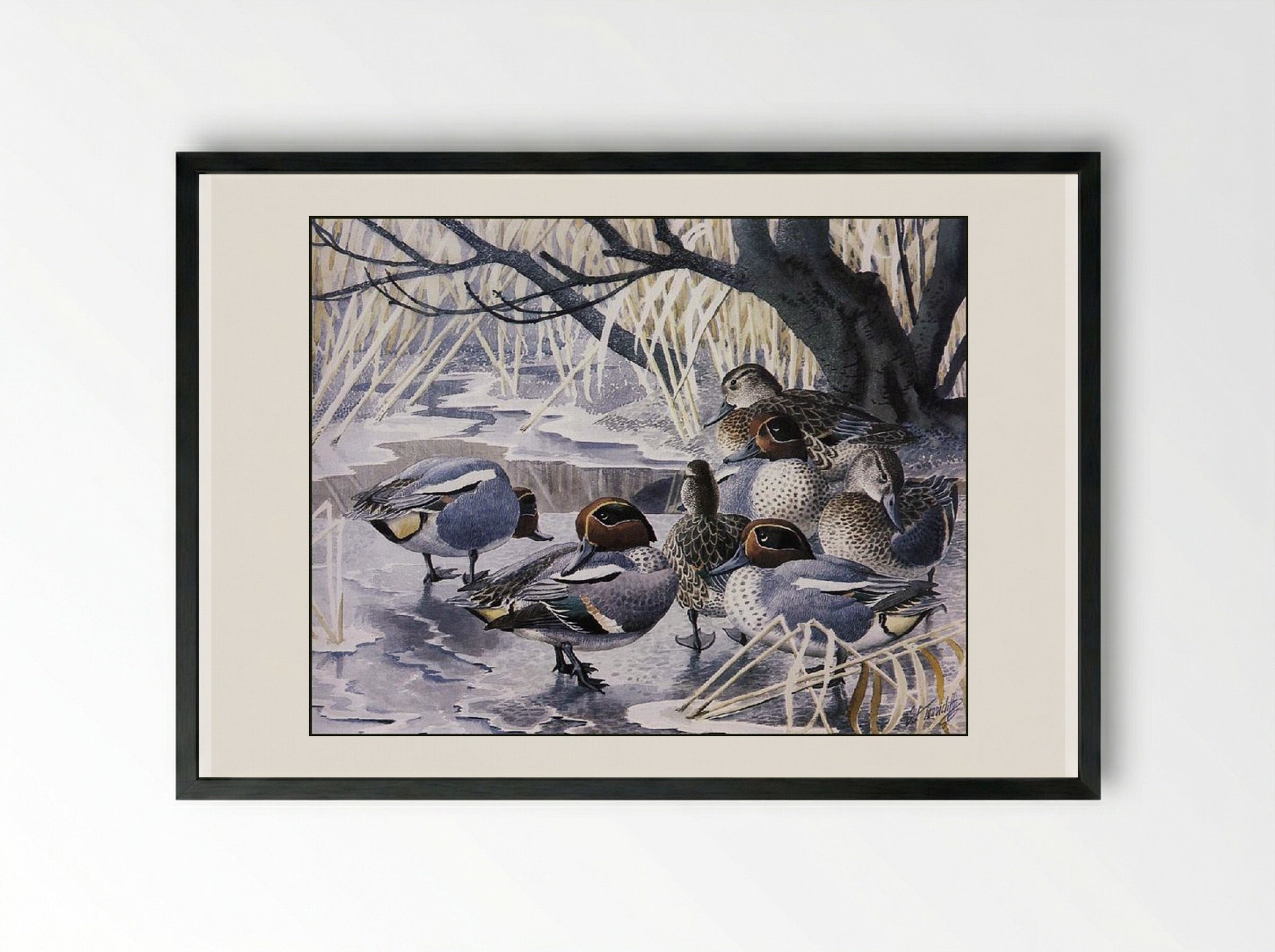 Teal - Charles Tunnicliffe - Framed Print Black