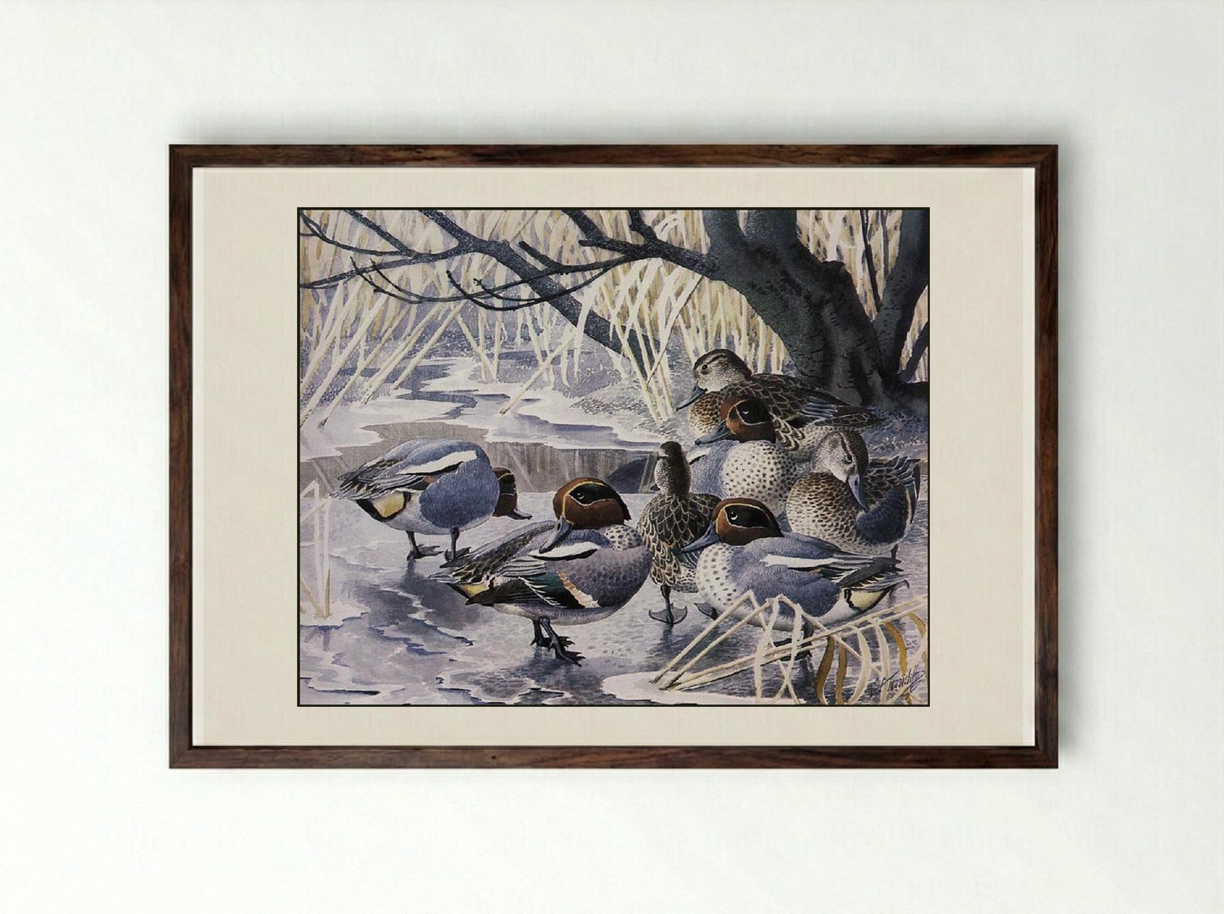 Teal - Charles Tunnicliffe - Framed Print Dark Wood