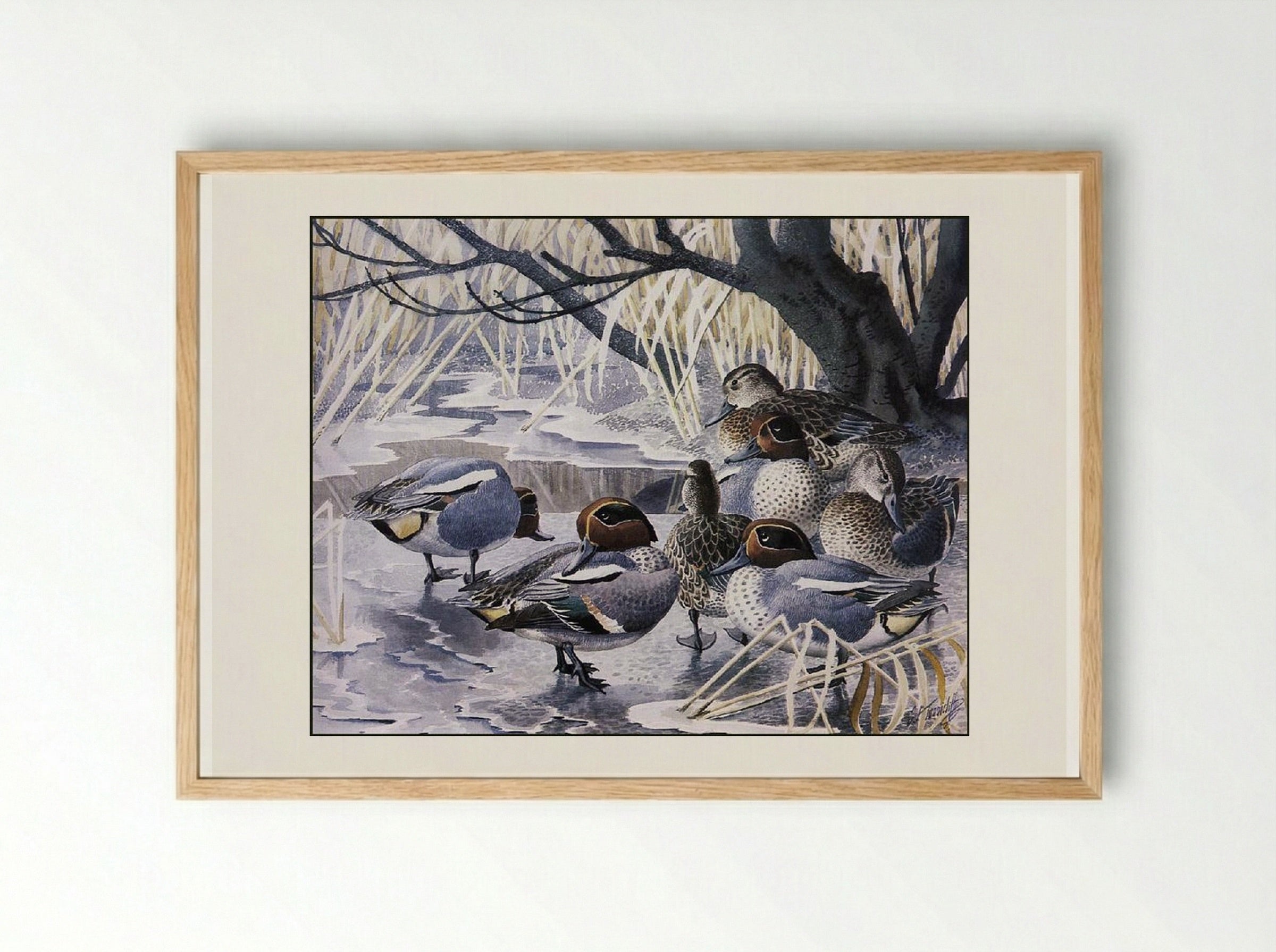 Teal - Charles Tunnicliffe - Framed Print Wood