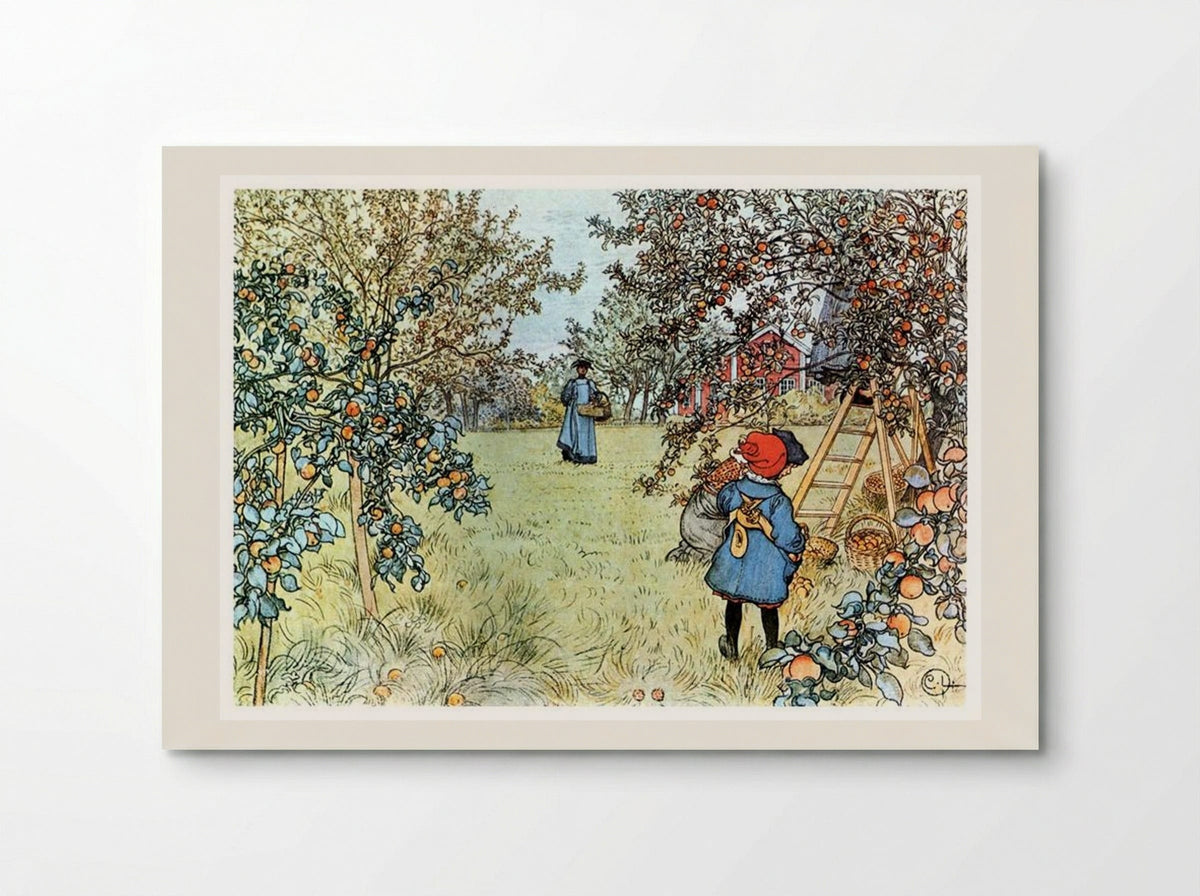 The Apple Harvest - Carl Larsson - Poster