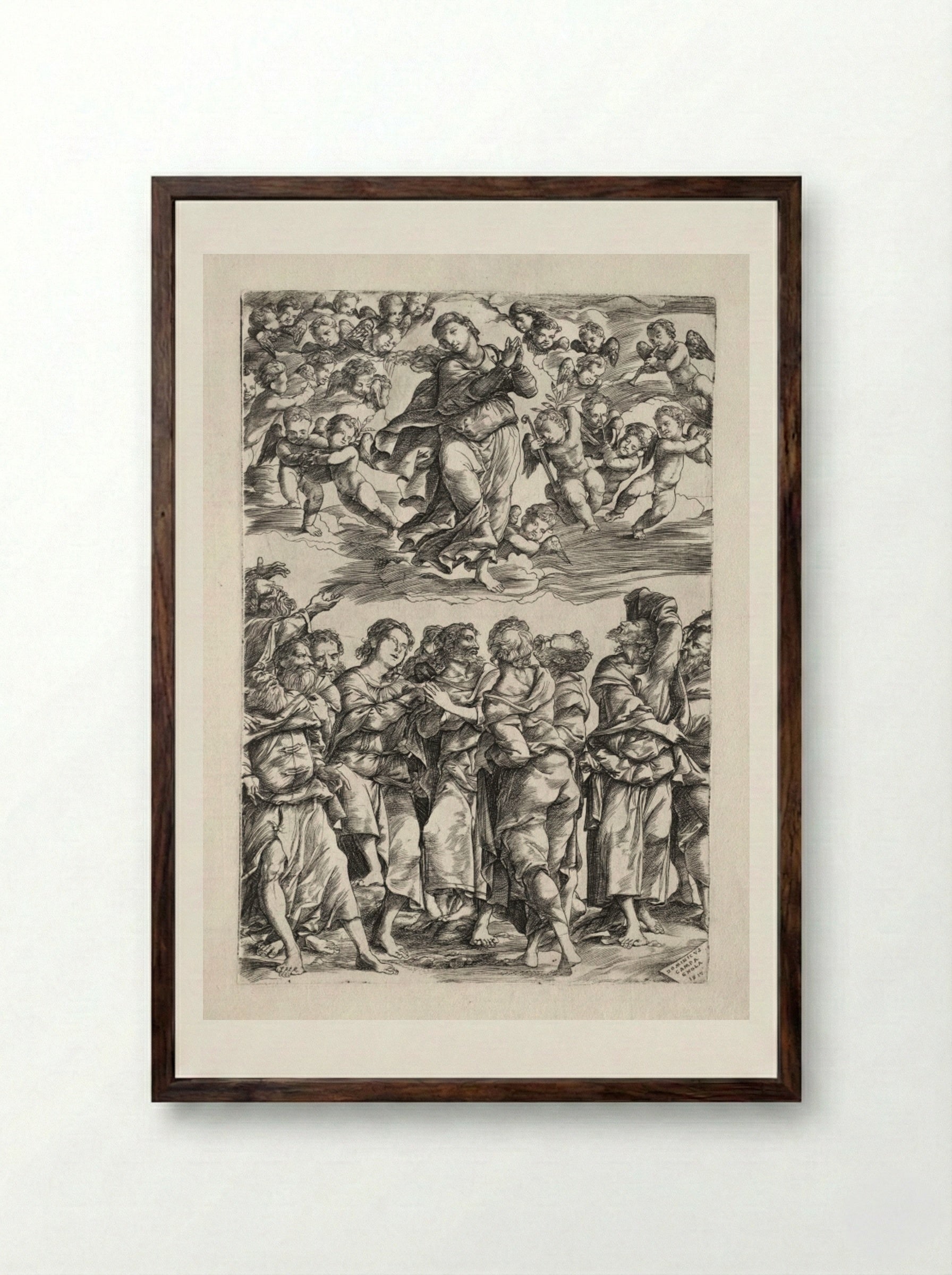 The Assumption of the Virgin - Domenico Campagnola - Framed Print Dark Wood