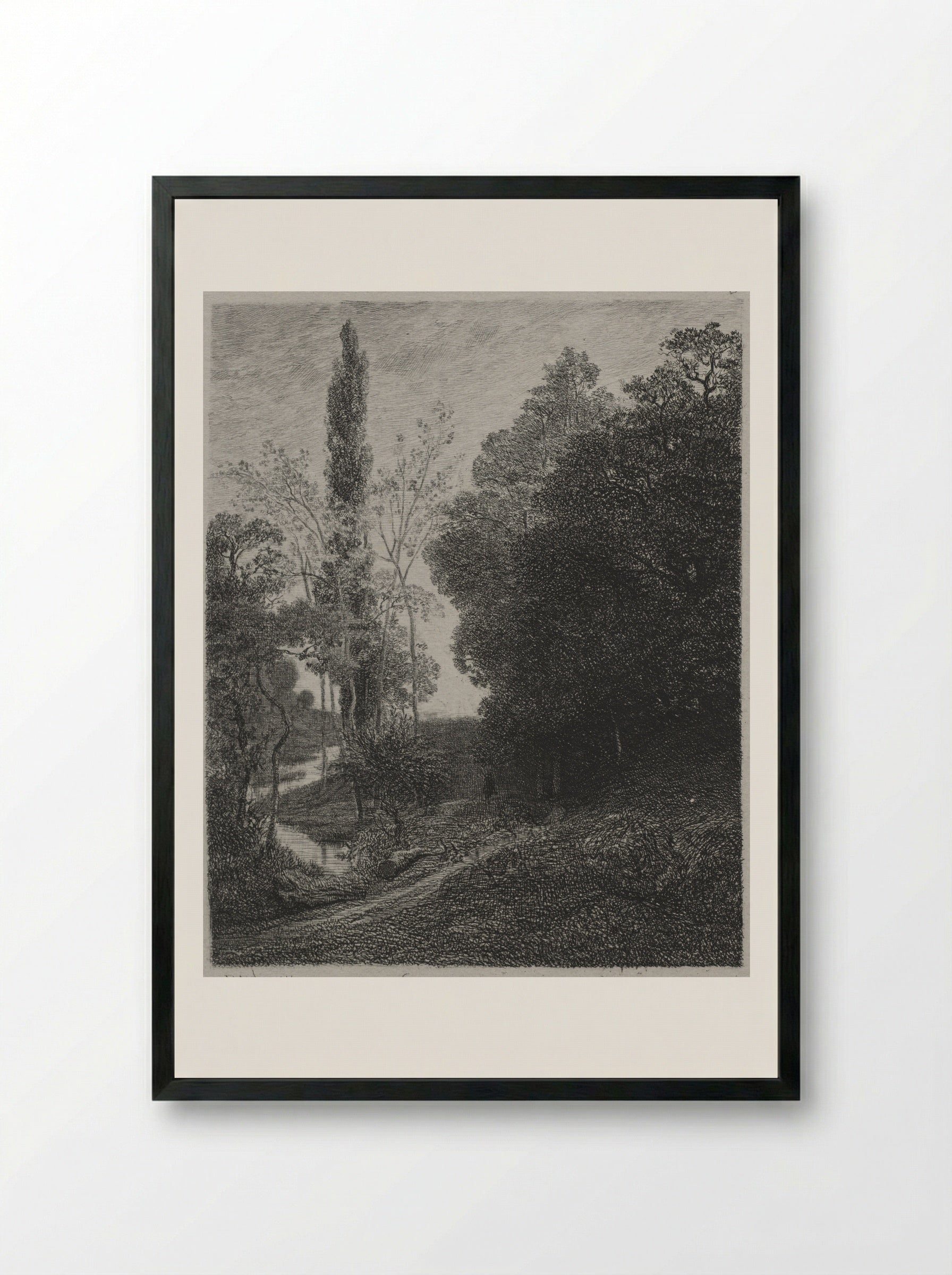 The Banks of the River - Charles-Francois Daubigny - Framed Print Black