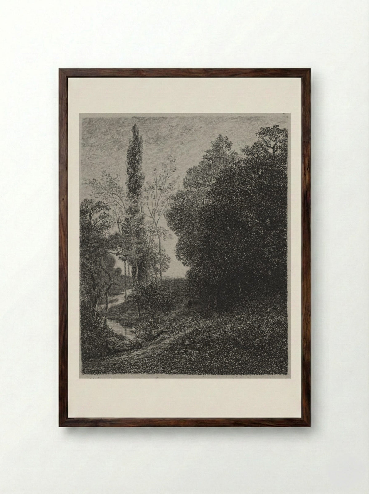 The Banks of the River - Charles-Francois Daubigny - Framed Print Dark Wood
