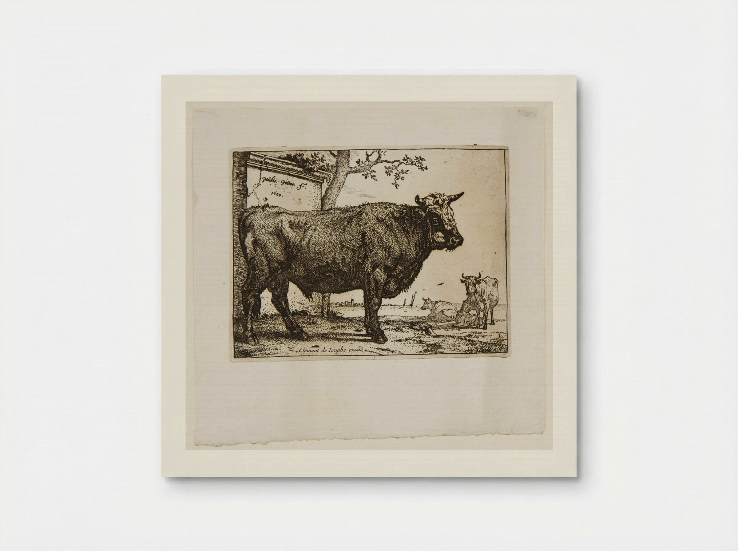The Bull (Etching) - Paulus Potter - Poster