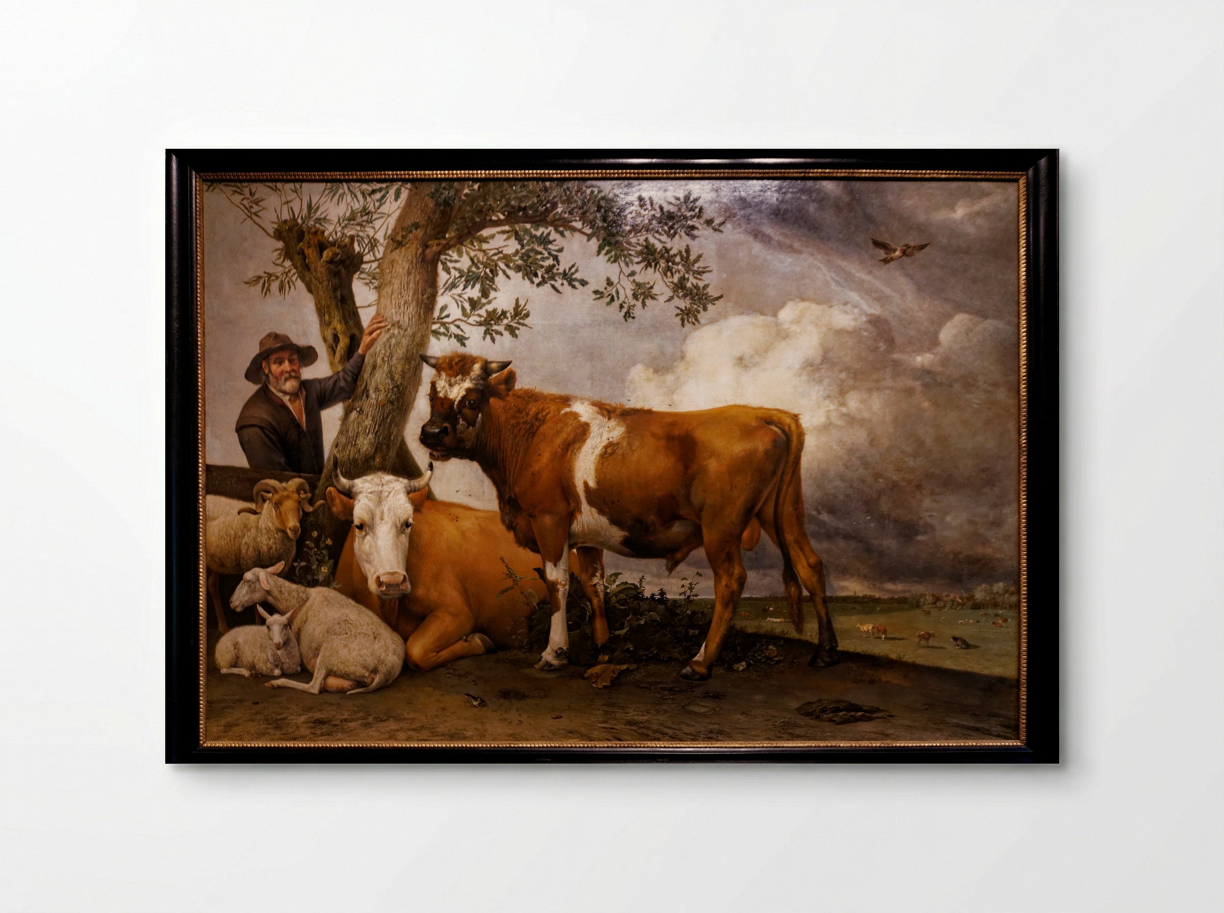 The Bull - Paulus Potter - Poster