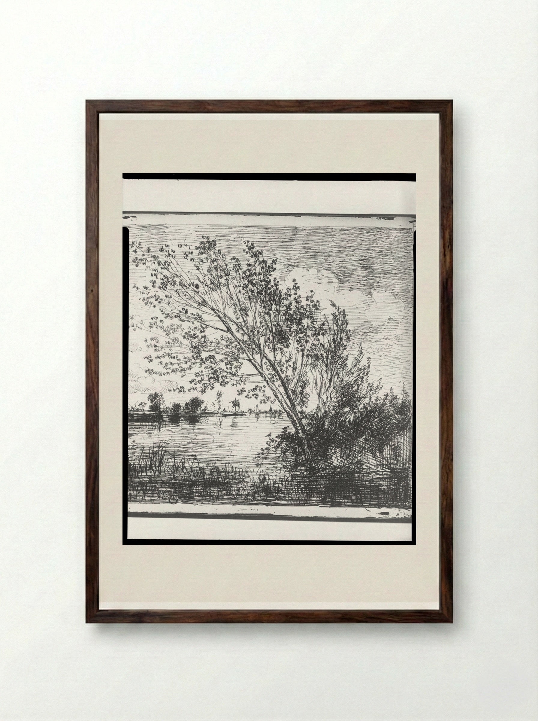 The Clump of Alders - Charles-François Daubigny - Framed Print Dark Wood