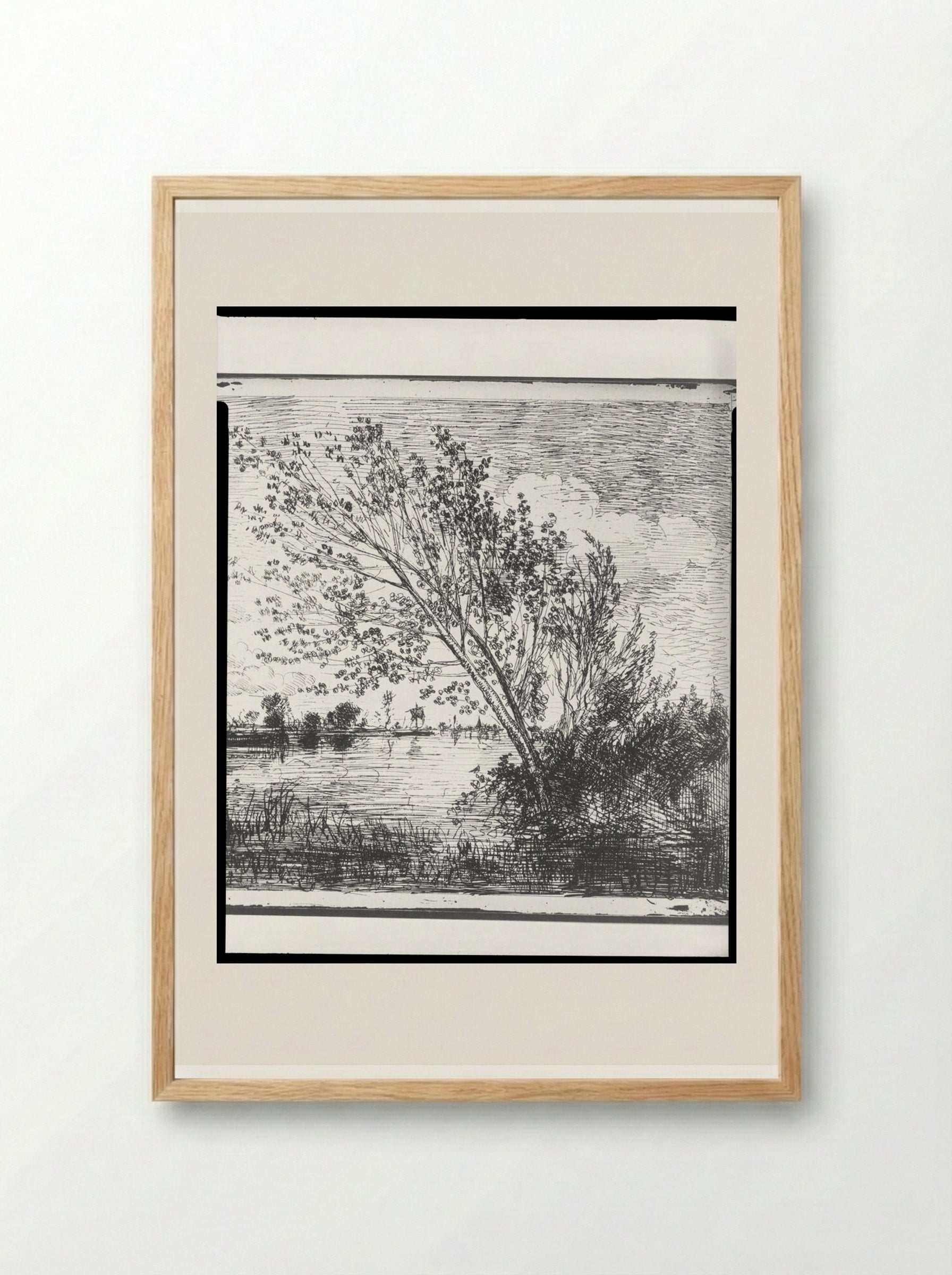 The Clump of Alders - Charles-François Daubigny - Framed Print Wood