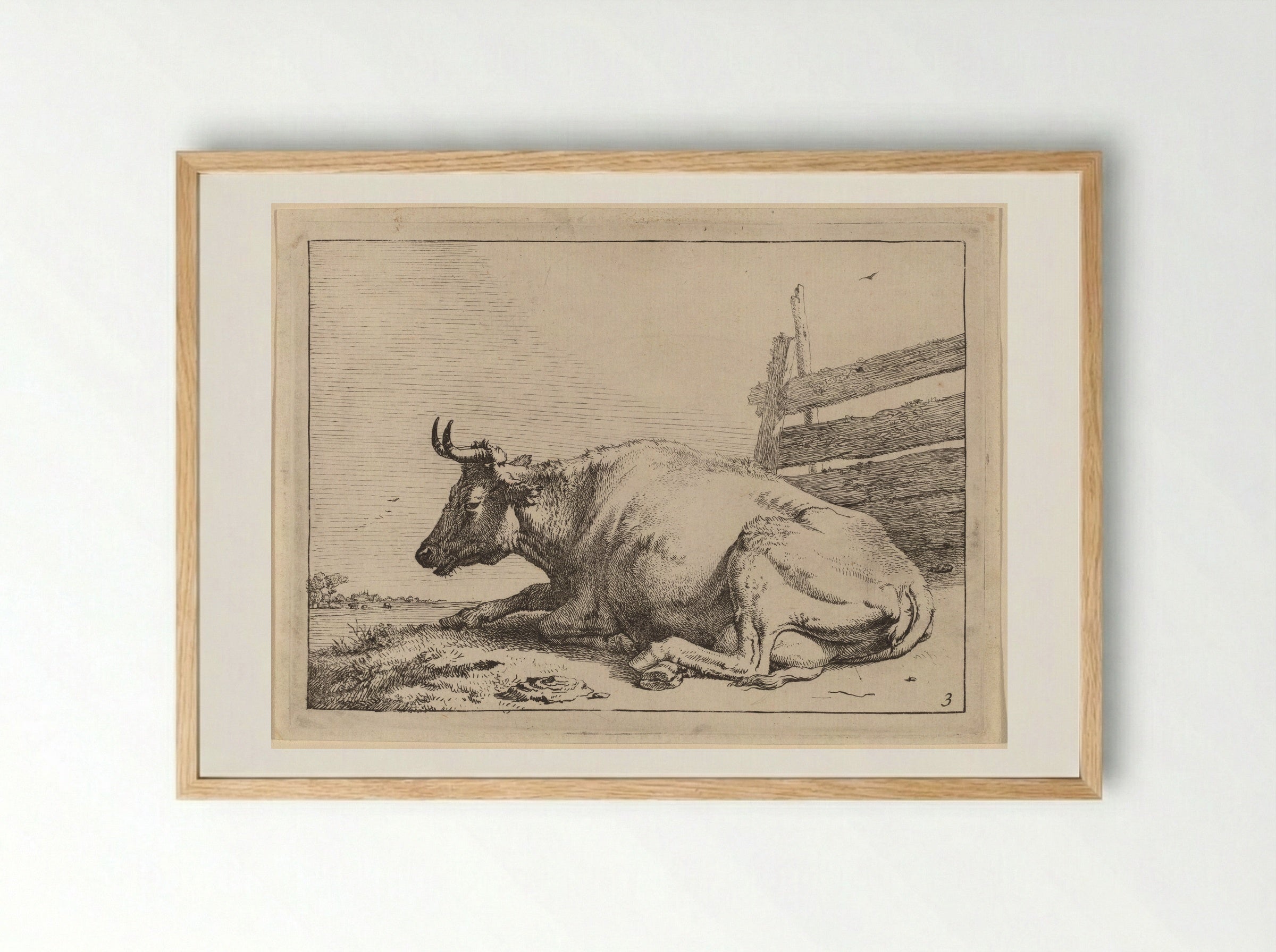 The Cow Lying Down Near a Fence - Paulus Potter - Framed Print Wood