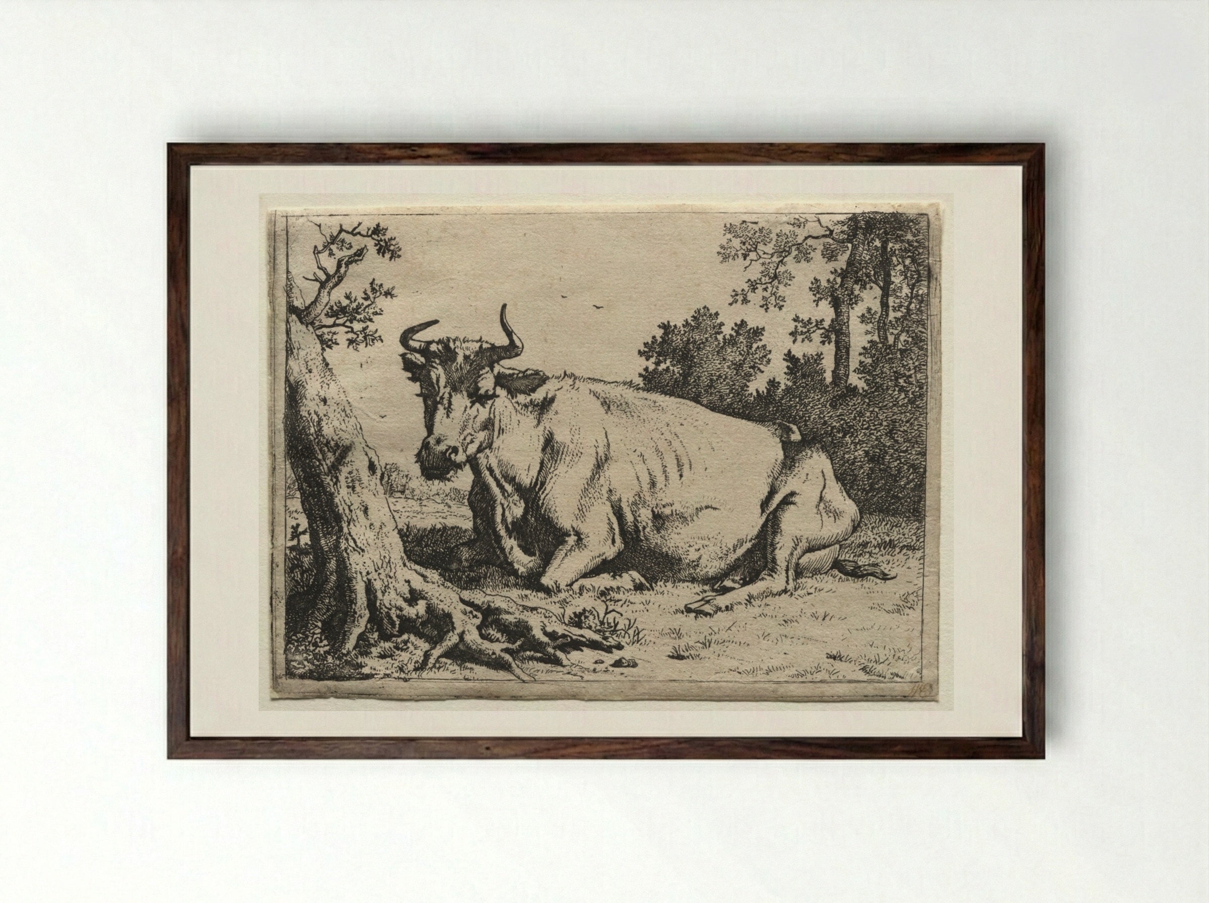 The Cow Lying Down Near a Tree - Paulus Potter - Framed Print Dark Wood