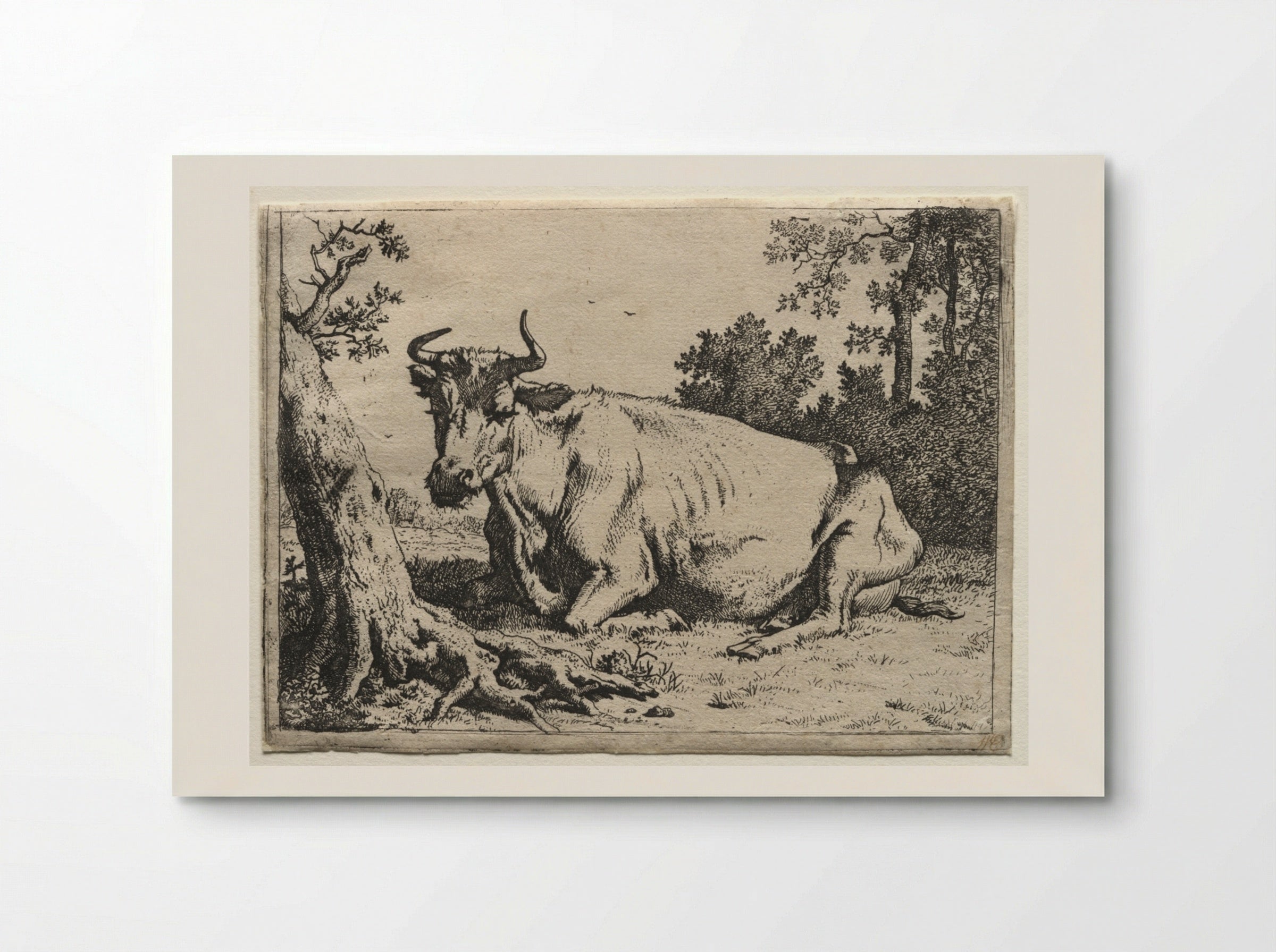 The Cow Lying Down Near a Tree - Paulus Potter - Poster