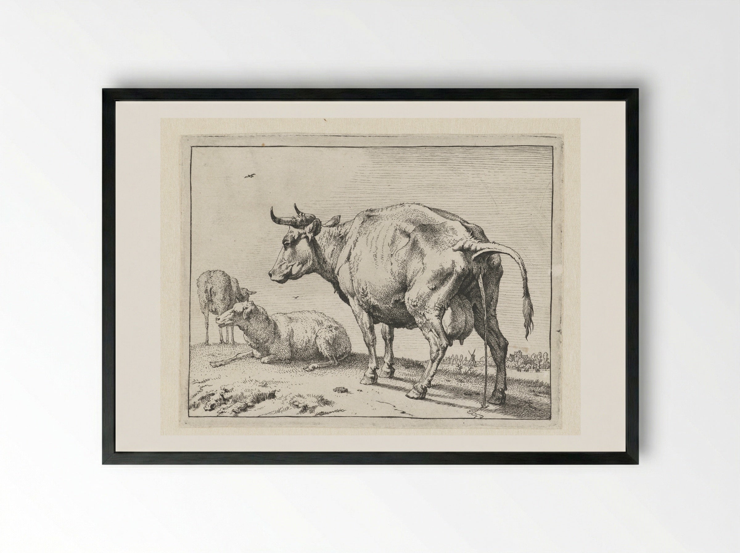 The Cow Urinating - Paulus Potter - Framed Print Black