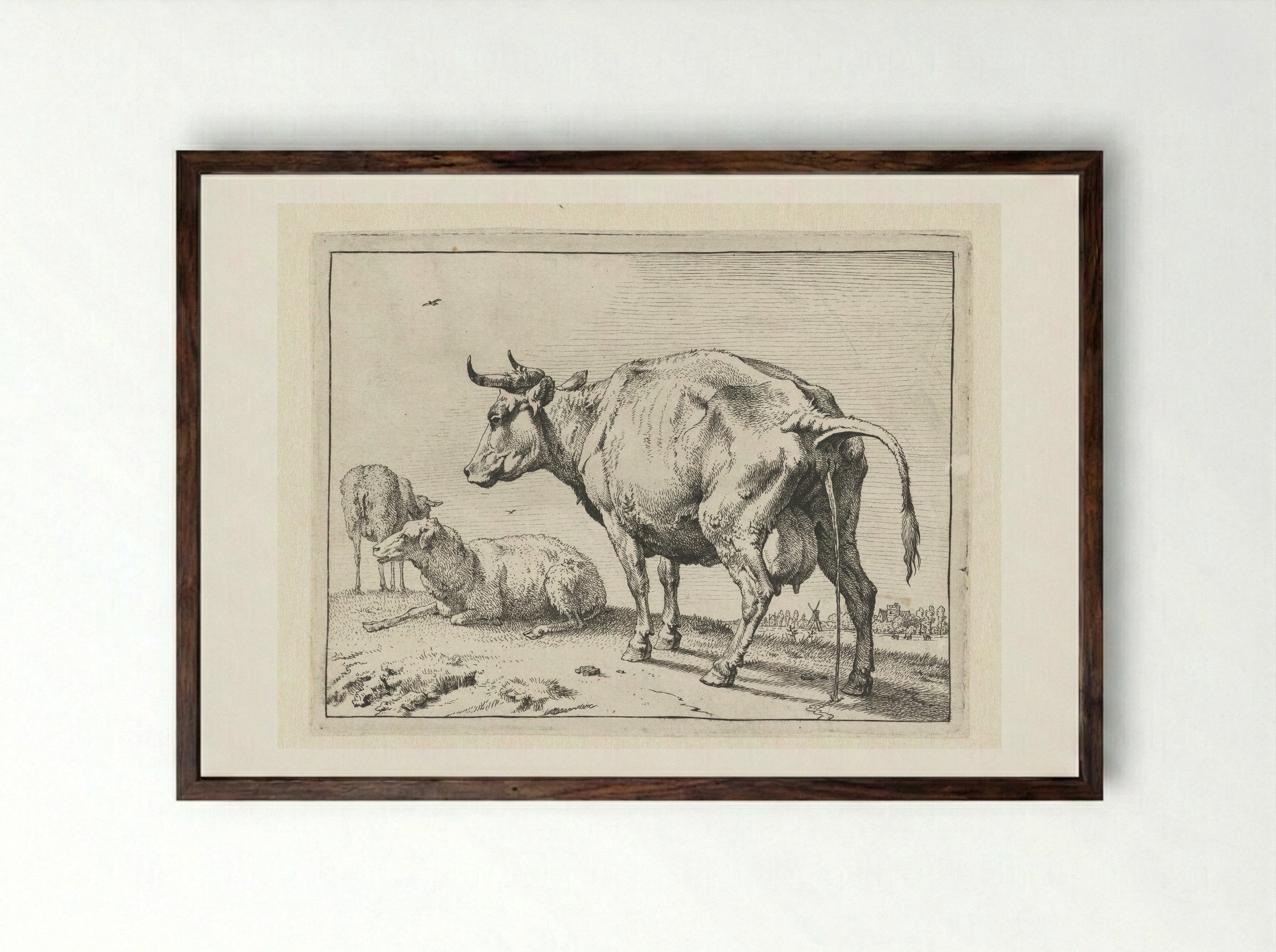 The Cow Urinating - Paulus Potter - Framed Print Dark Wood