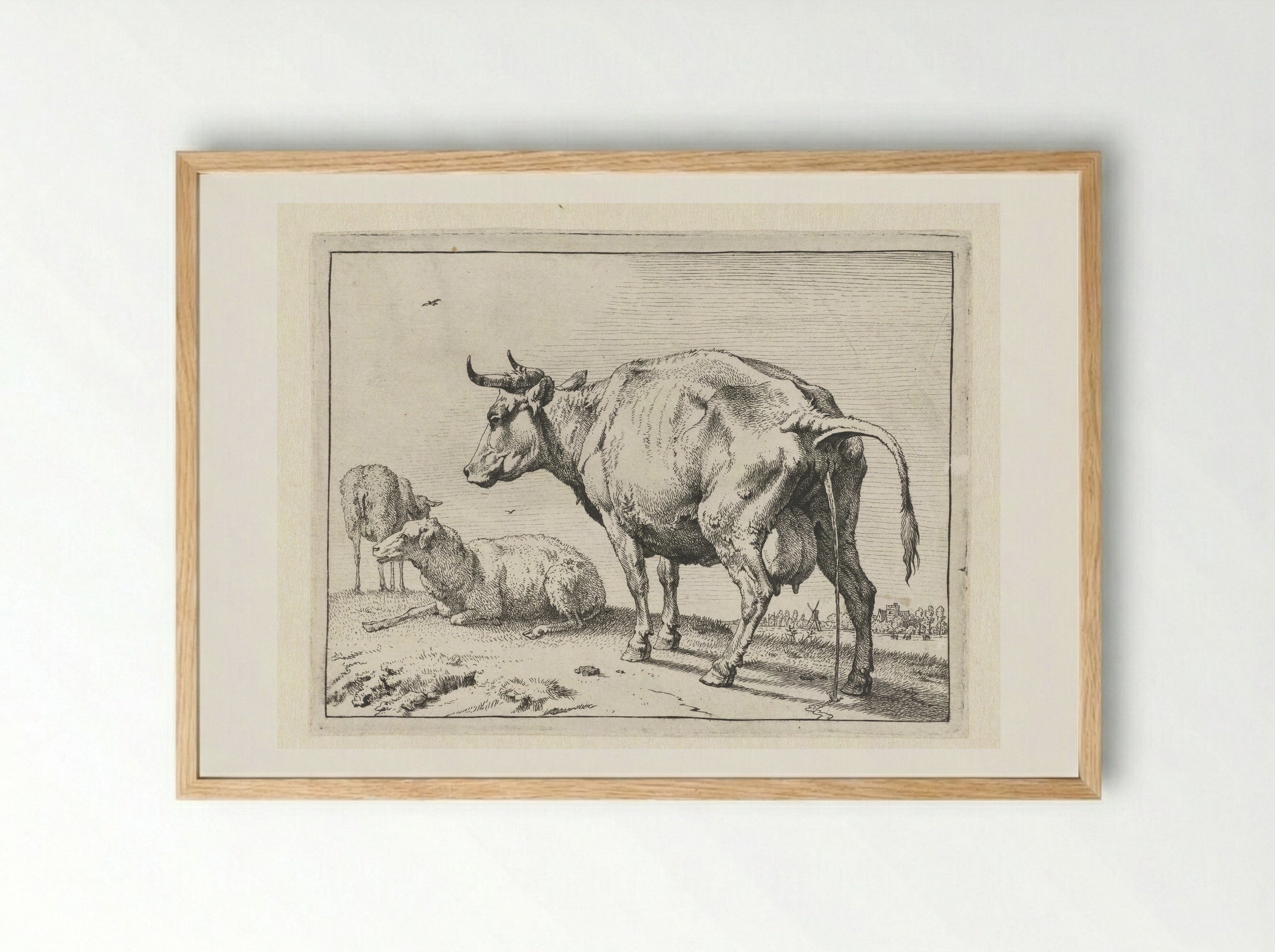 The Cow Urinating - Paulus Potter - Framed Print Wood