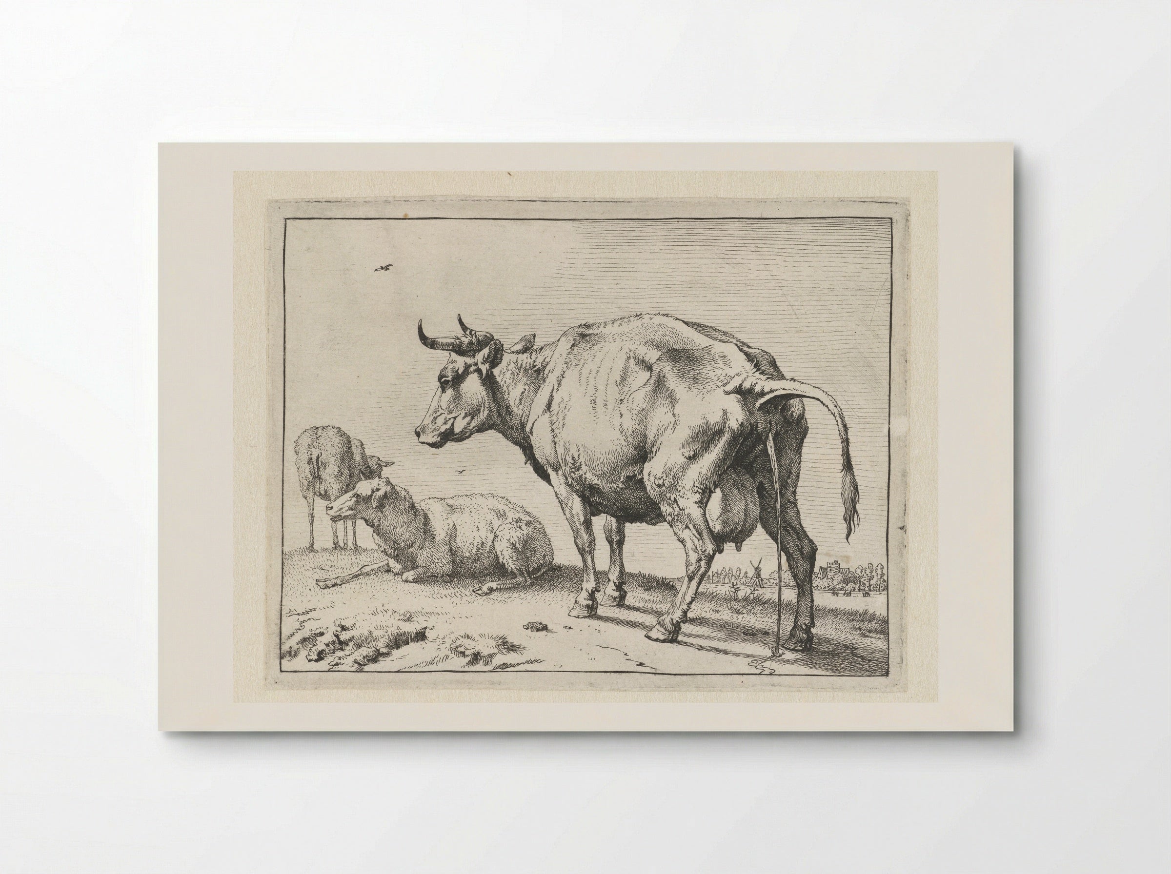 The Cow Urinating - Paulus Potter - Poster