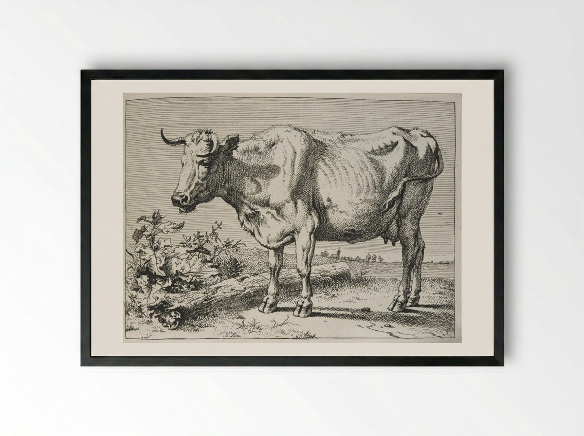 The Cow with the Crumpled Horn - Paulus Potter - Framed Print Black