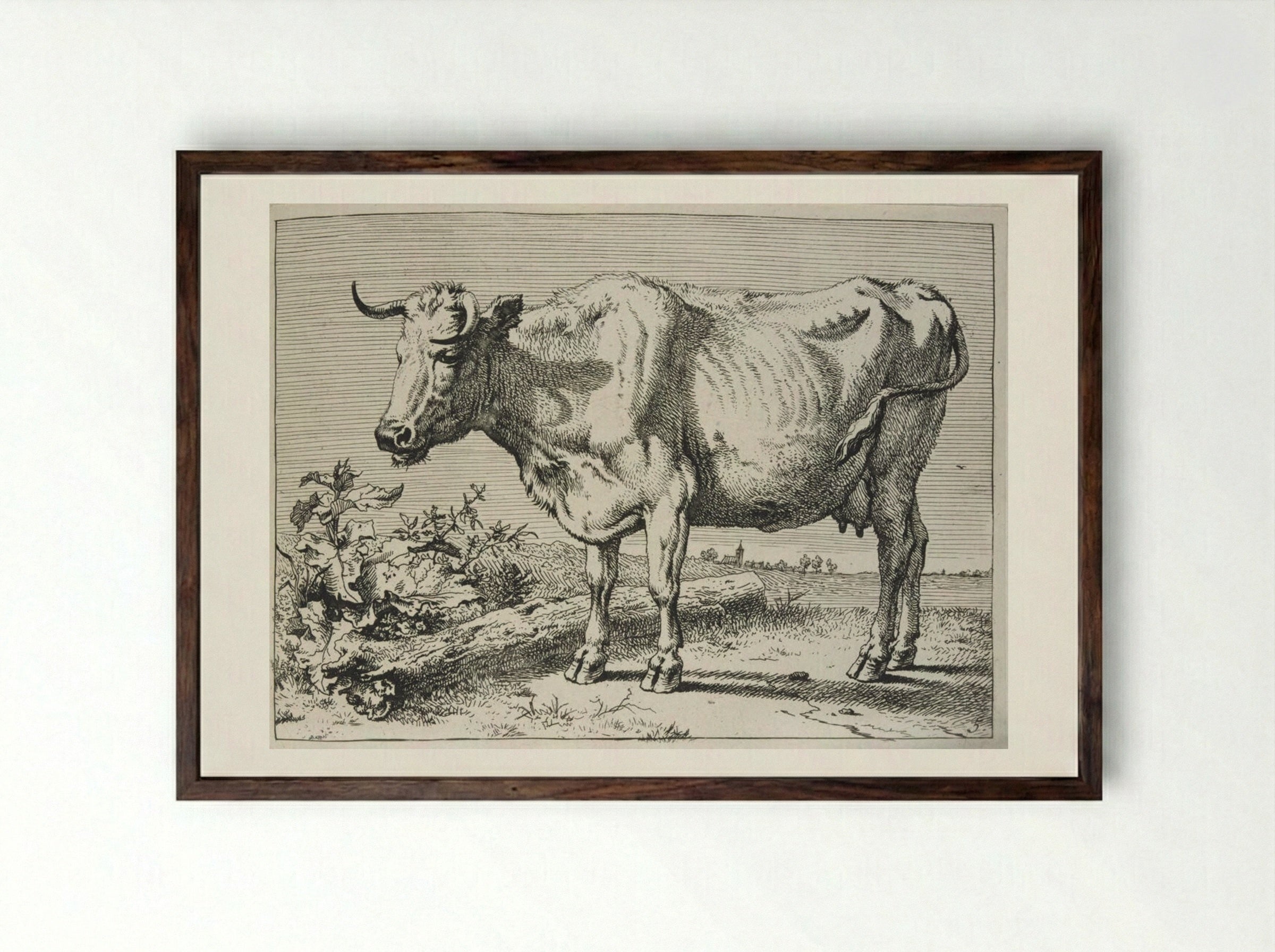 The Cow with the Crumpled Horn - Paulus Potter - Framed Print Dark Wood