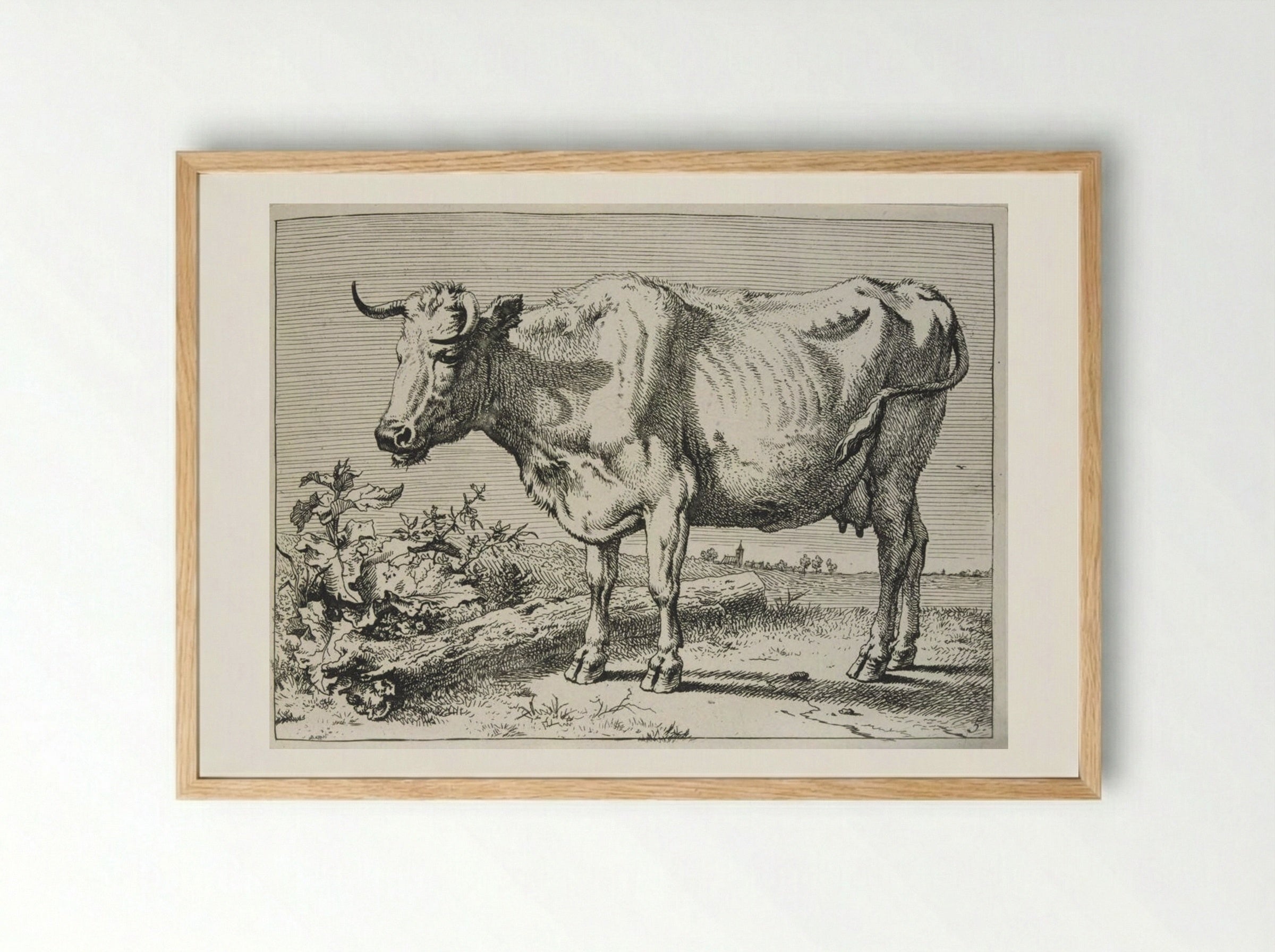 The Cow with the Crumpled Horn - Paulus Potter - Framed Print Wood