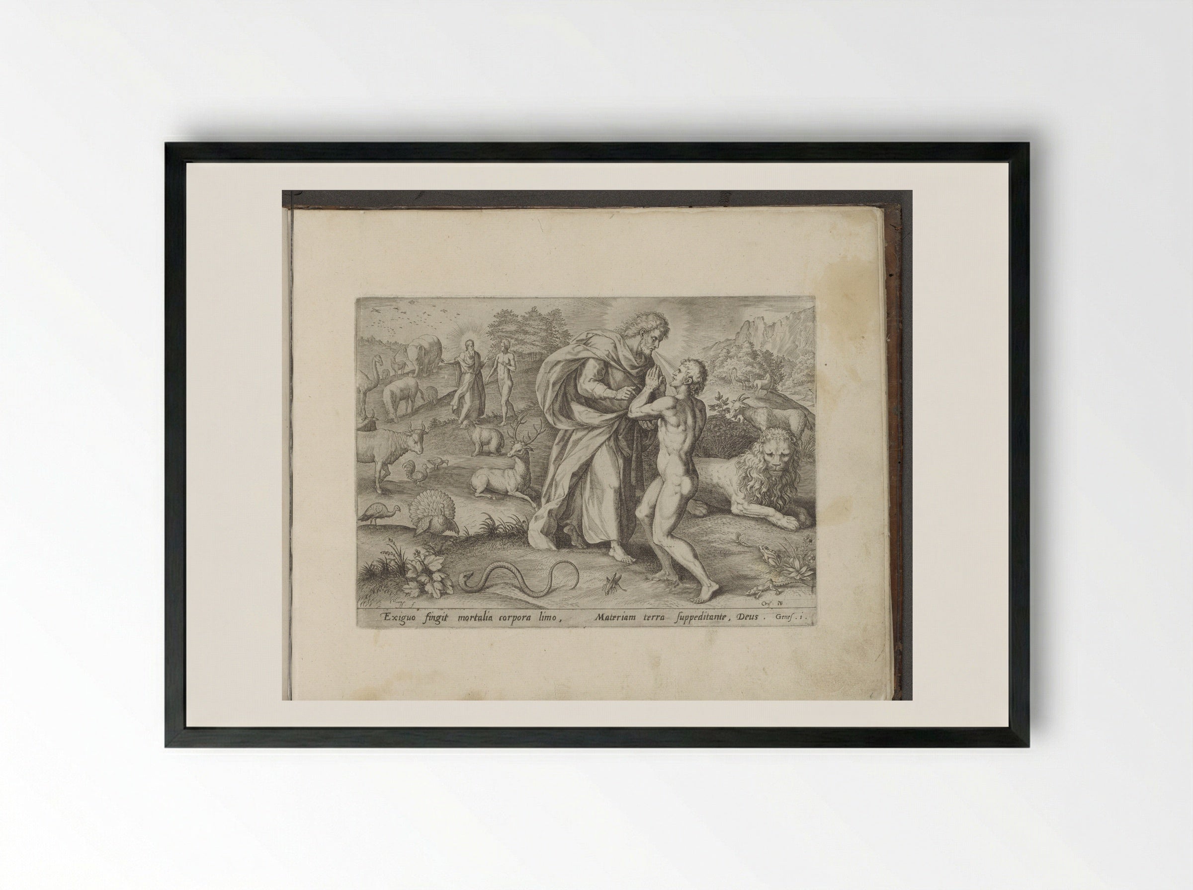 The Creation of Adam - Gerard de Jode - Framed Print Black