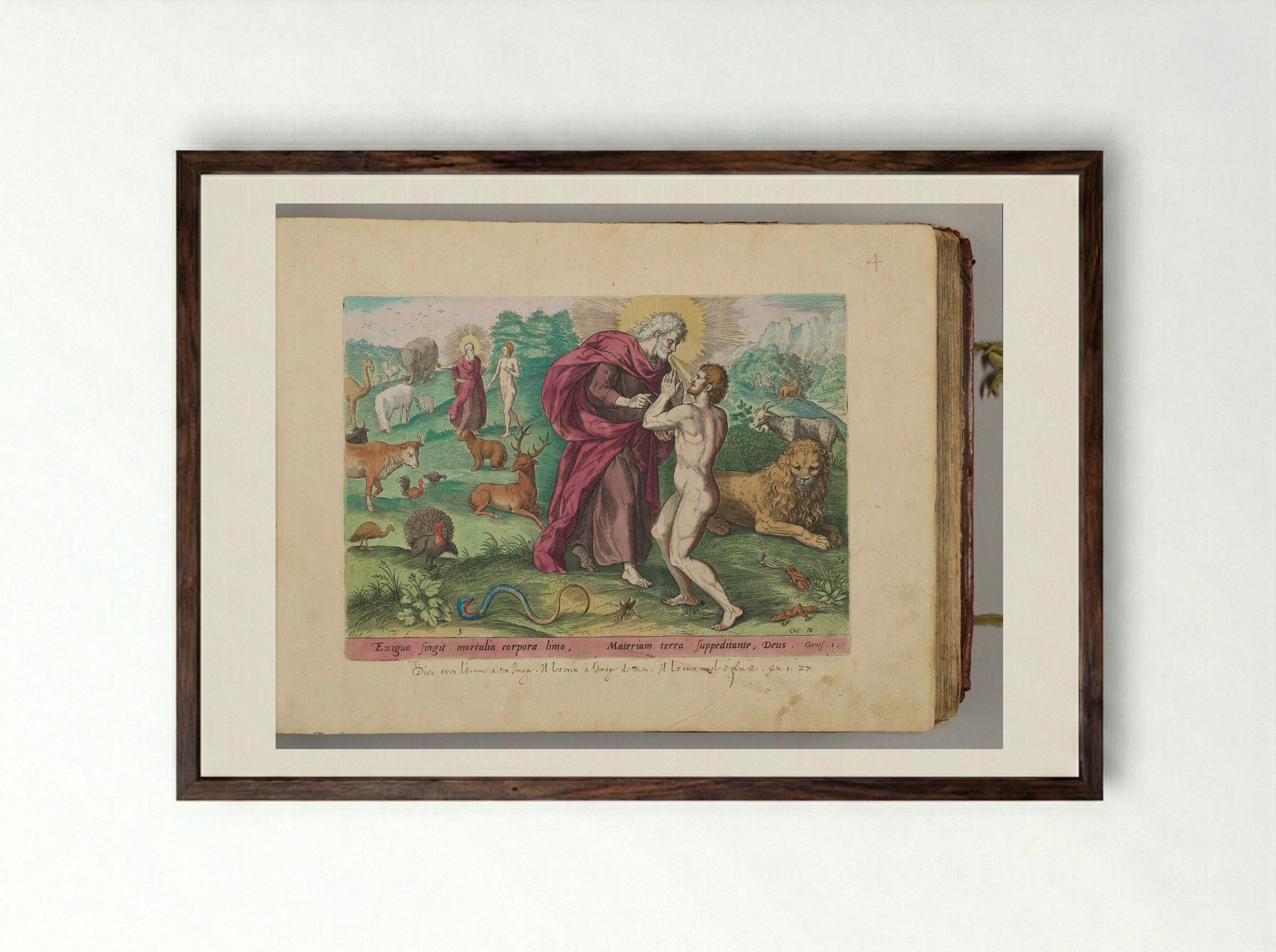 The Creation of Adam - Johann Sadeler I - Framed Print Dark Wood