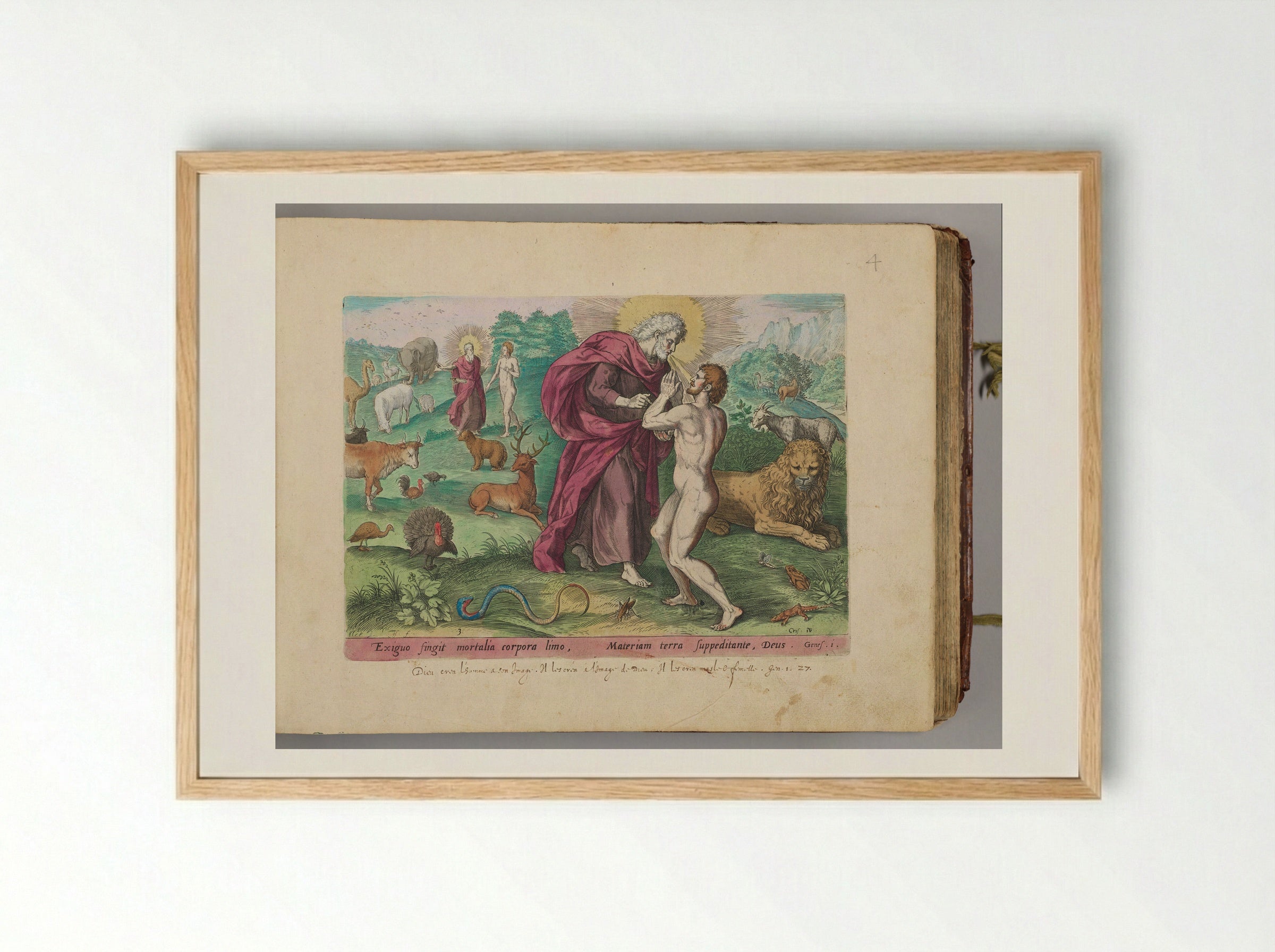 The Creation of Adam - Johann Sadeler I - Framed Print Wood