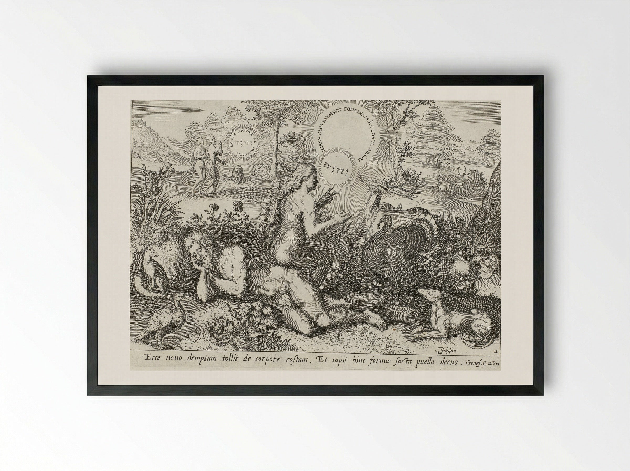The Creation of Eve - Claes Jansz. Visscher (II) - Framed Print Black