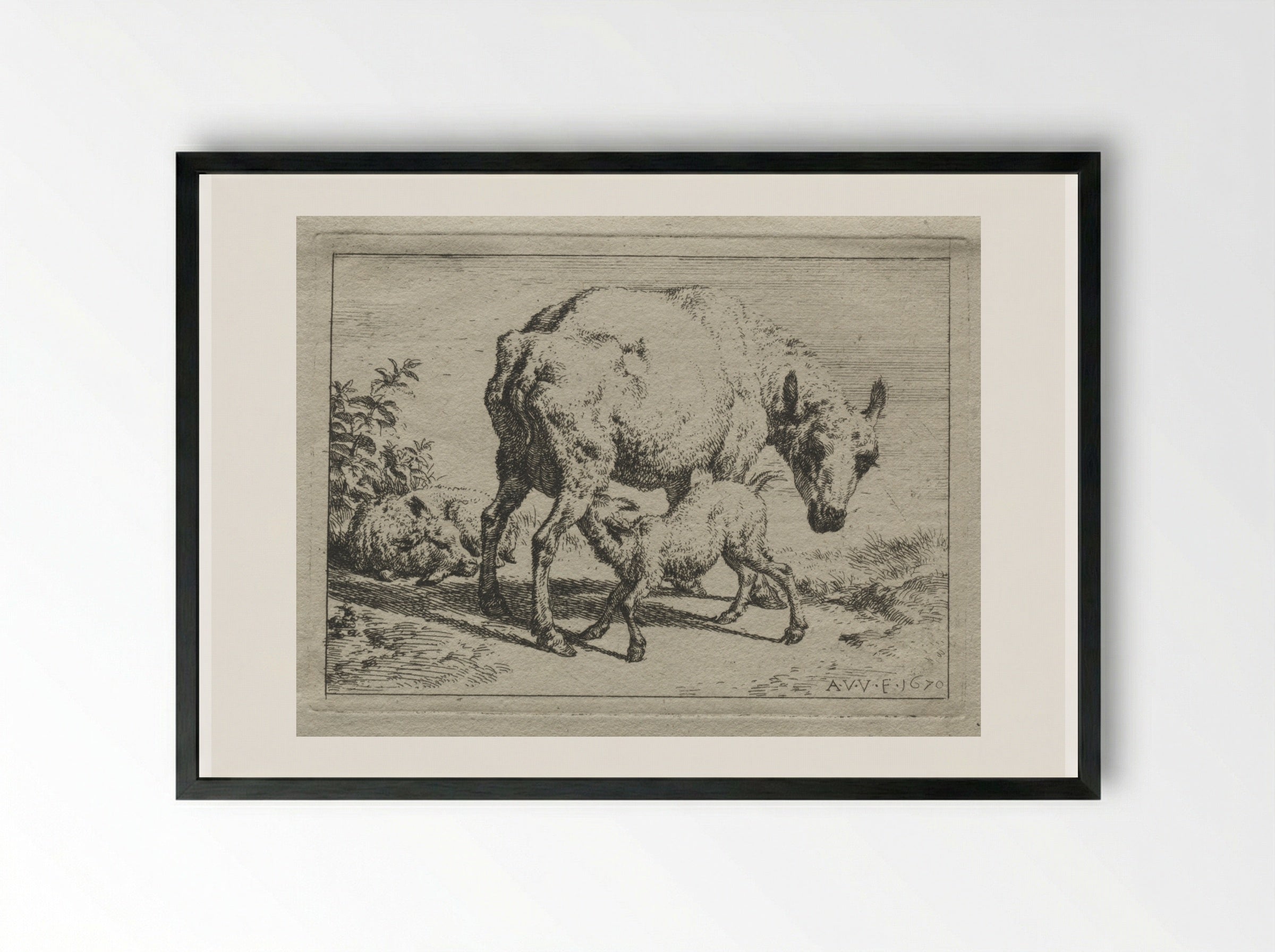 The Ewe and Two Lambs - Adriaen van de Velde - Framed Print Black