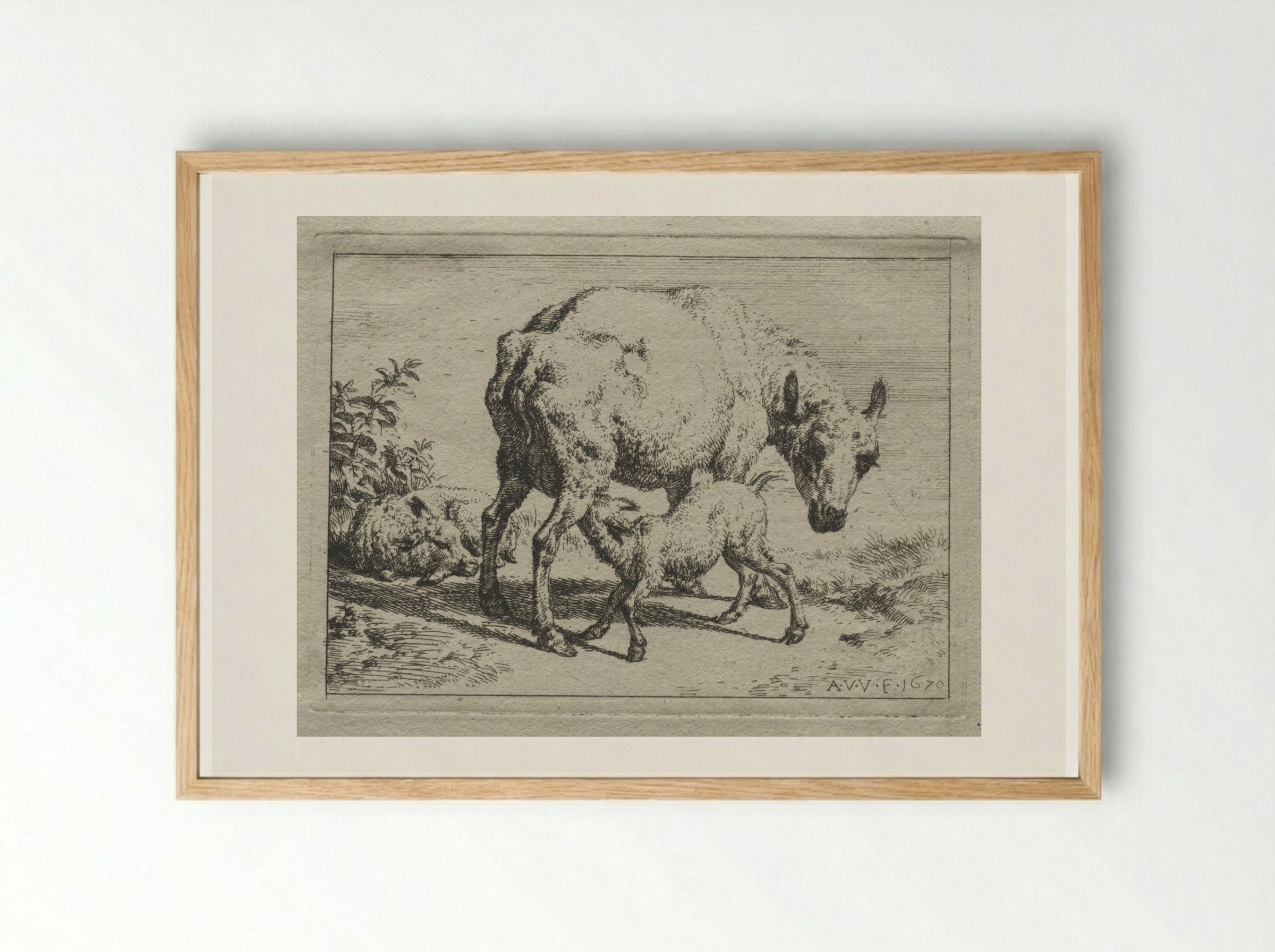 The Ewe and Two Lambs - Adriaen van de Velde - Framed Print Wood