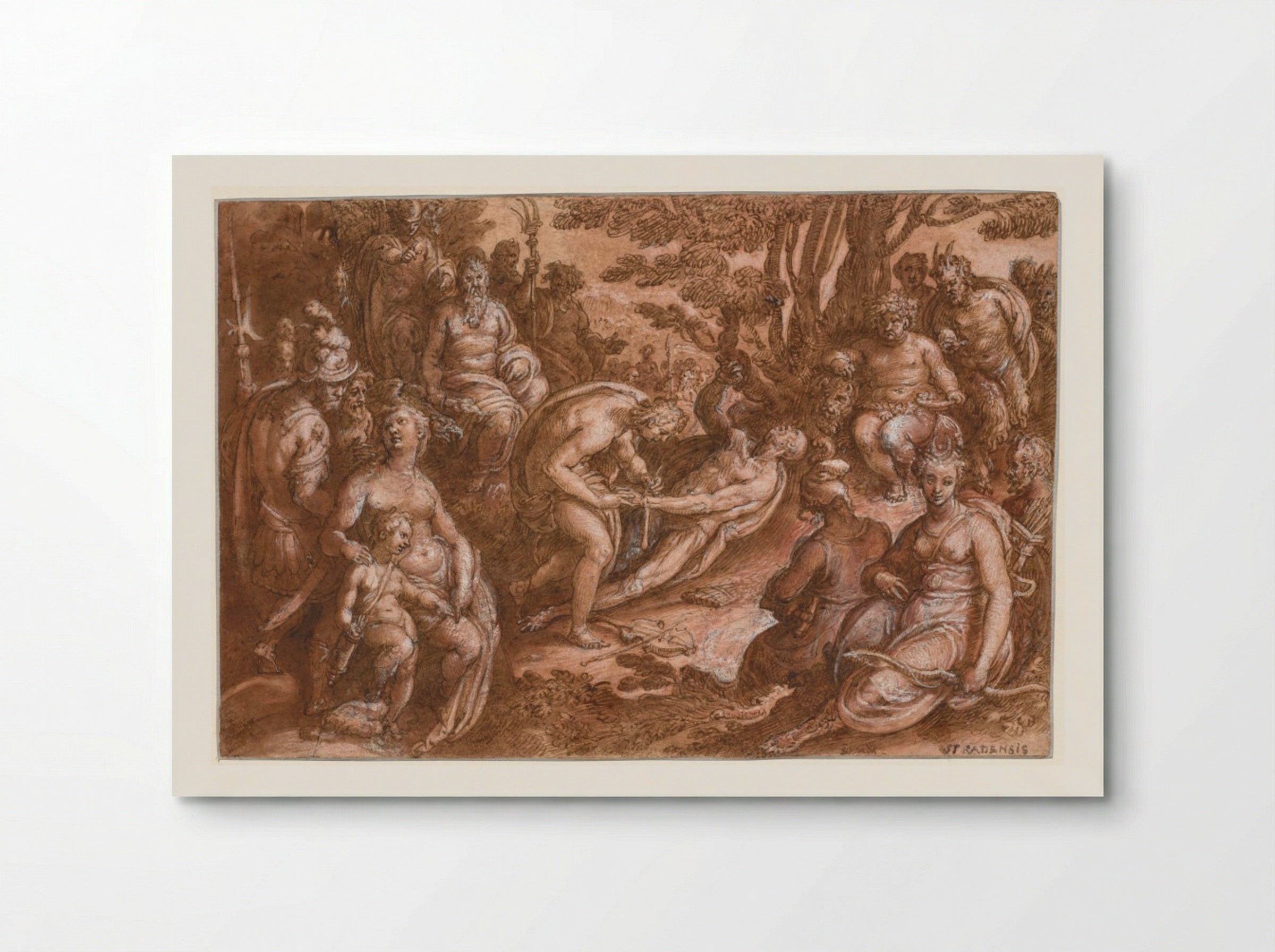 The Flaying of Marsyas - Jan van der Straet - Poster