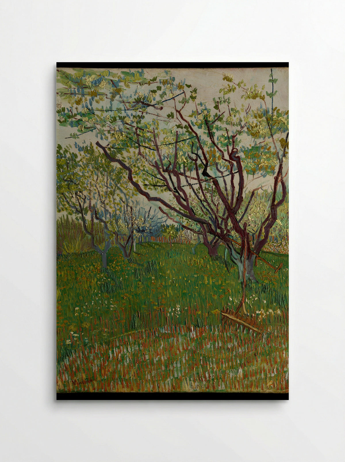 The Flowering Orchard - Vincent van Gogh - Poster
