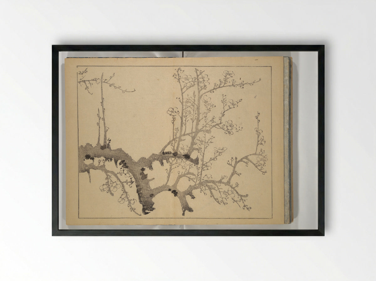 The Four Worthies (Plum, Bamboo, Orchid, Chrysanthemum) - Nakabayashi Chikutō - Framed Print Black