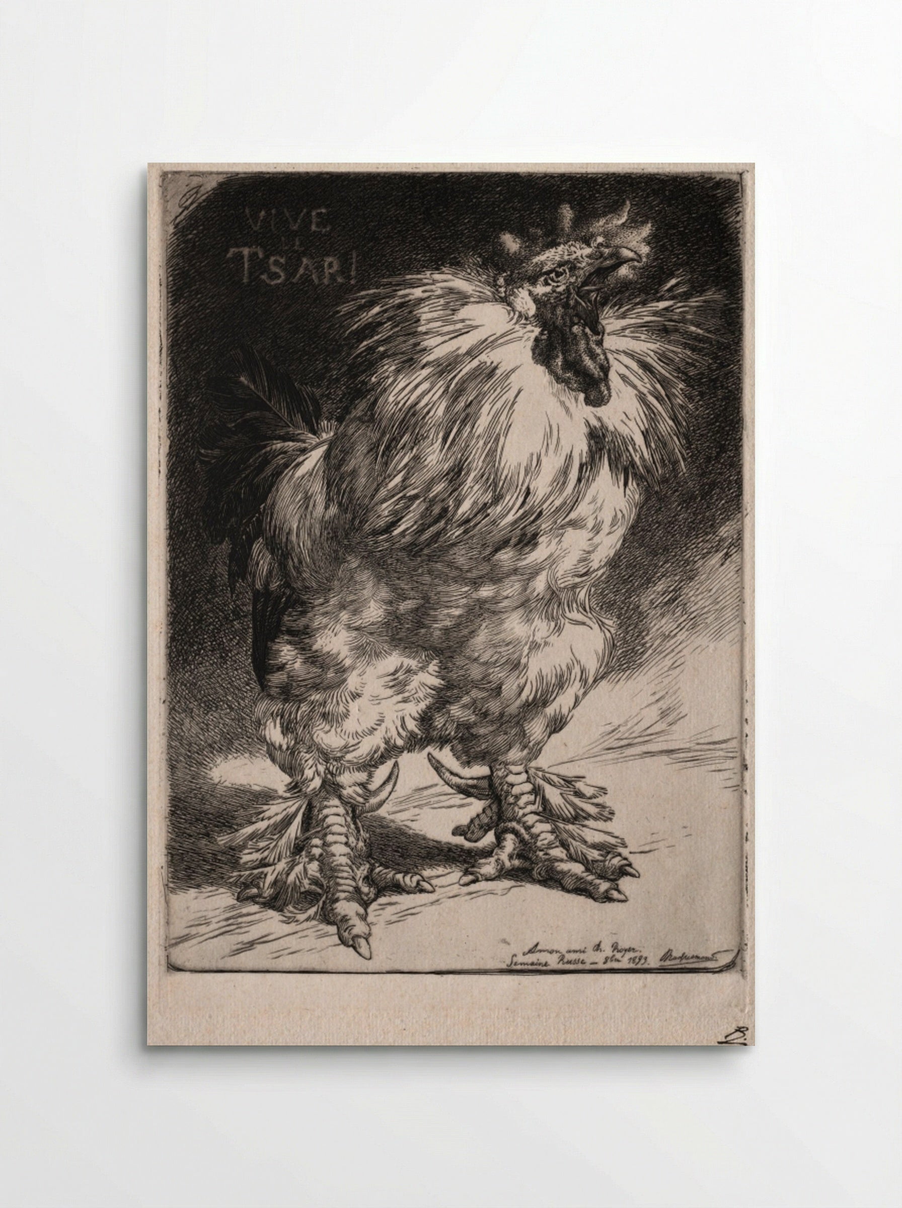 The French Cock - Félix Bracquemond - Poster