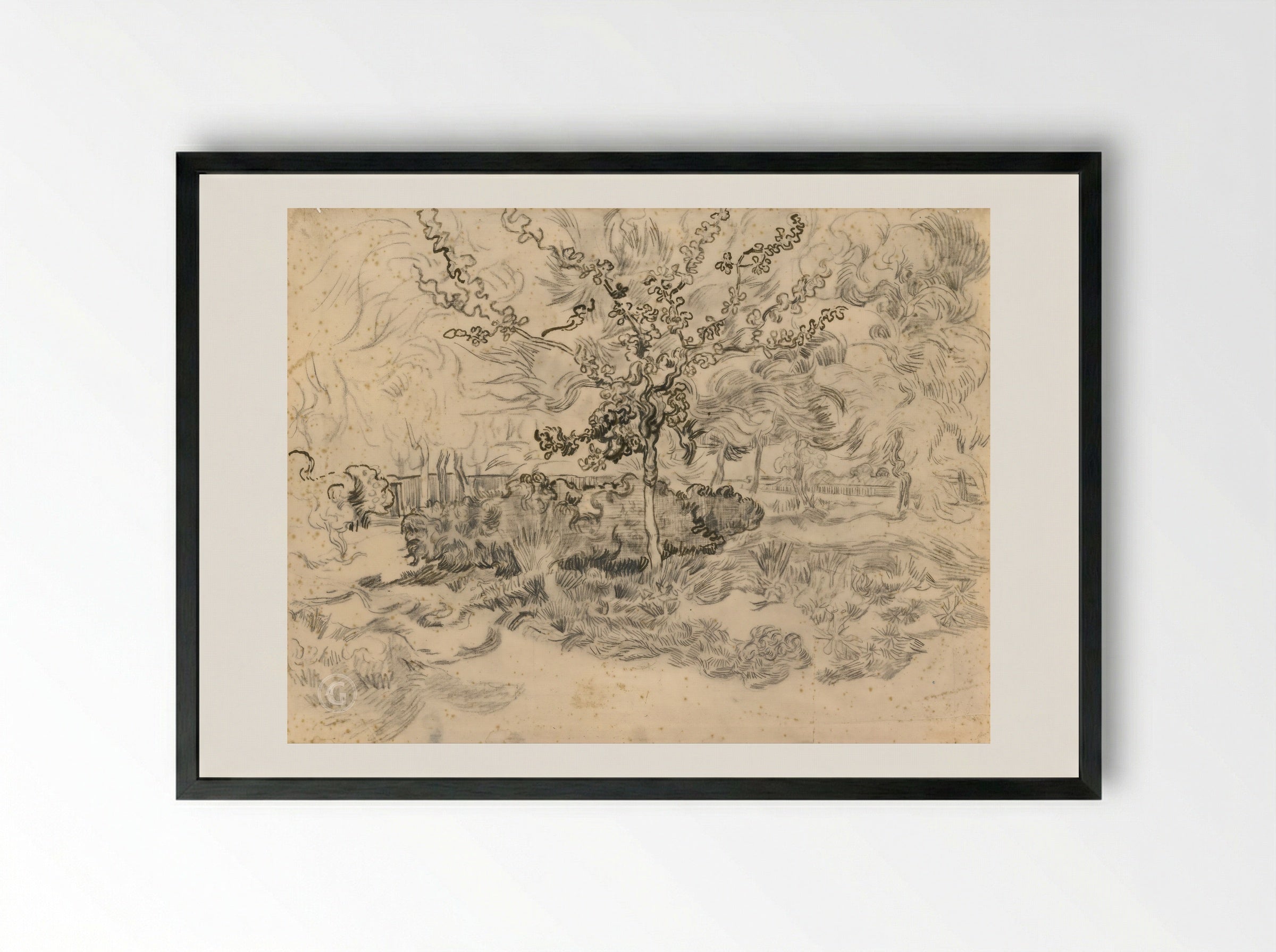 The Garden of the Asylum - Vincent van Gogh - Framed Print Black