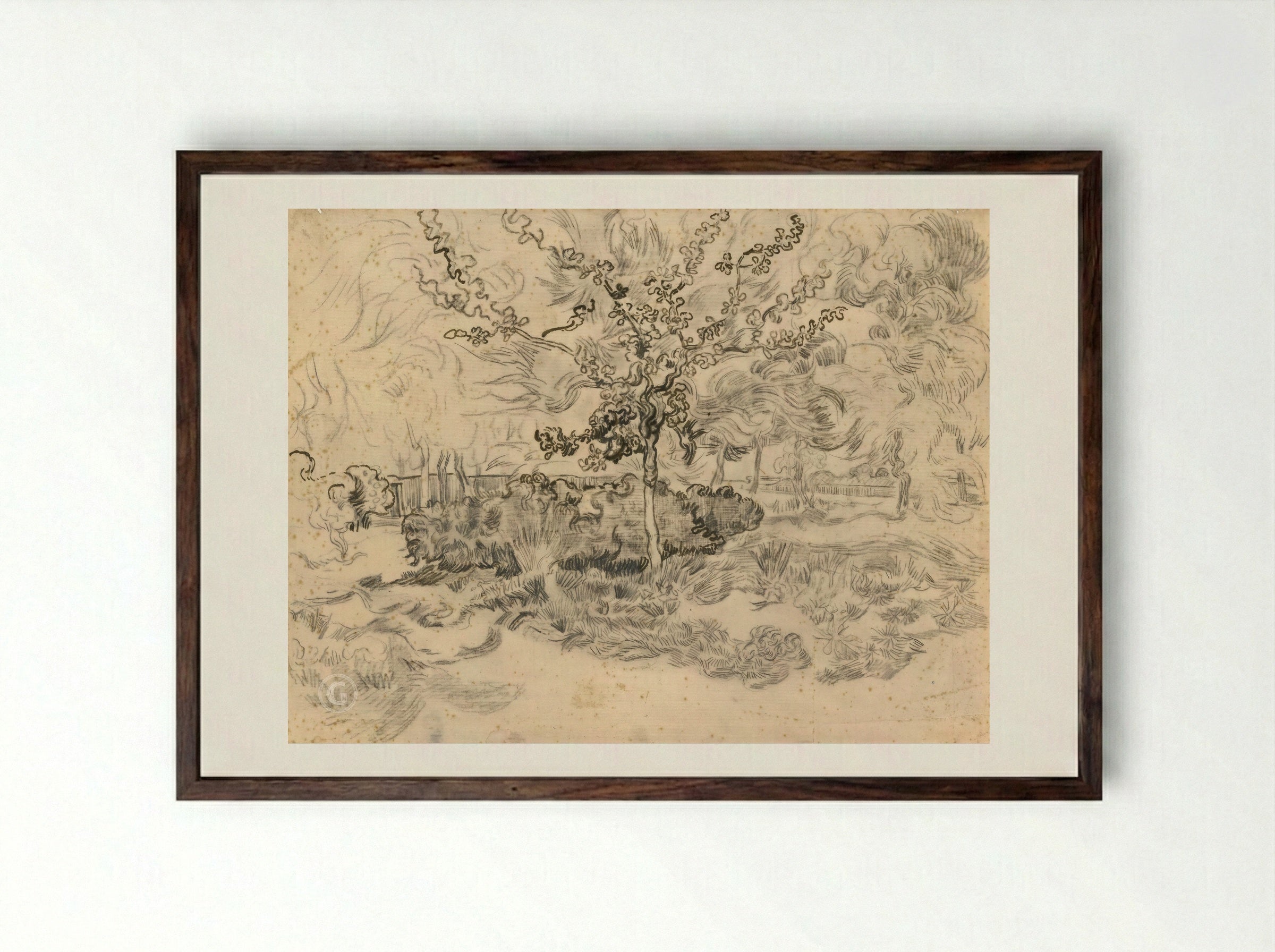 The Garden of the Asylum - Vincent van Gogh - Framed Print Dark Wood