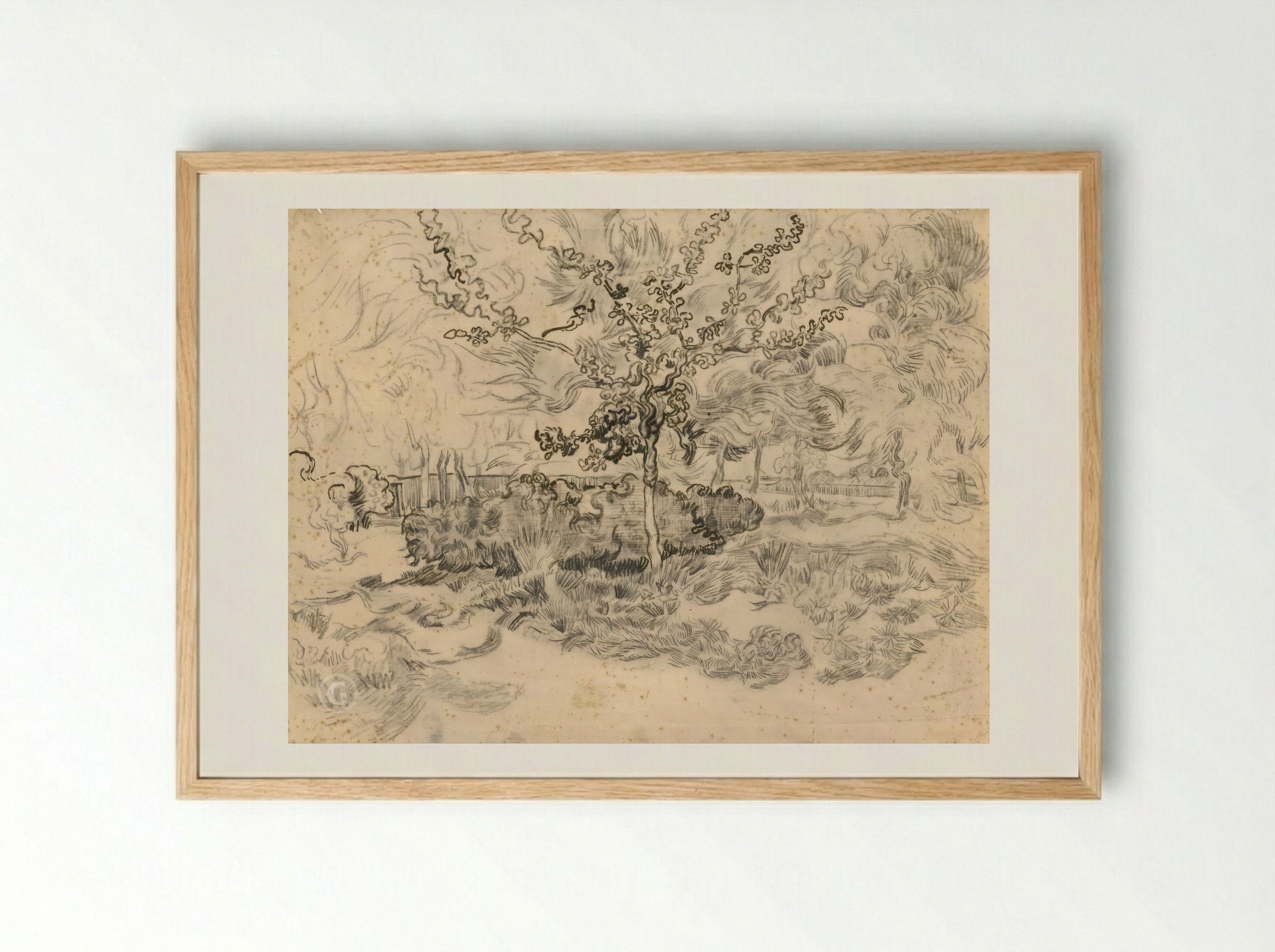 The Garden of the Asylum - Vincent van Gogh - Framed Print Wood