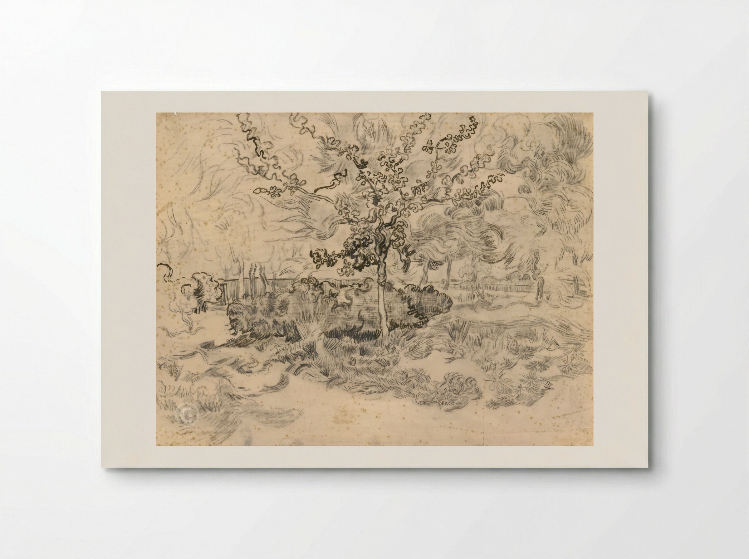 The Garden of the Asylum - Vincent van Gogh - Poster