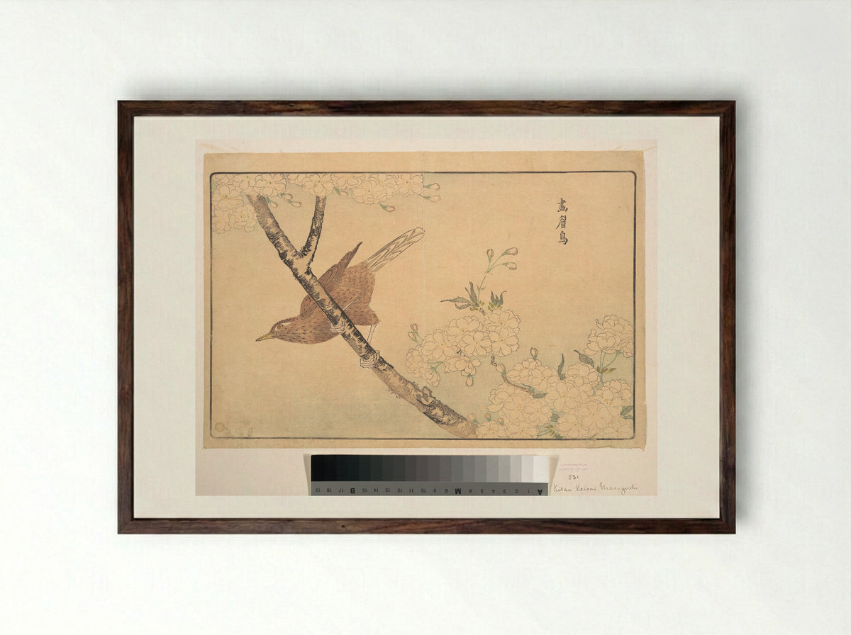 The Gray Thrush - Kuwagata Keisai - Framed Print Dark Wood
