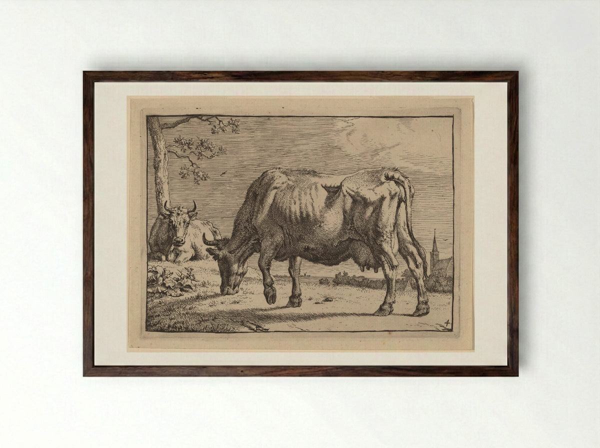 The Grazing Cow - Paulus Potter - Framed Print Dark Wood