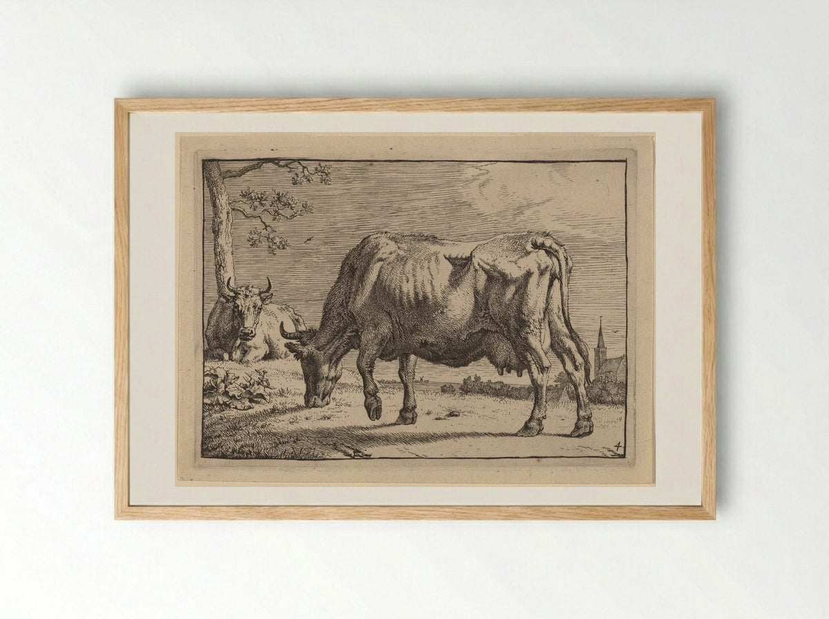 The Grazing Cow - Paulus Potter - Framed Print Wood