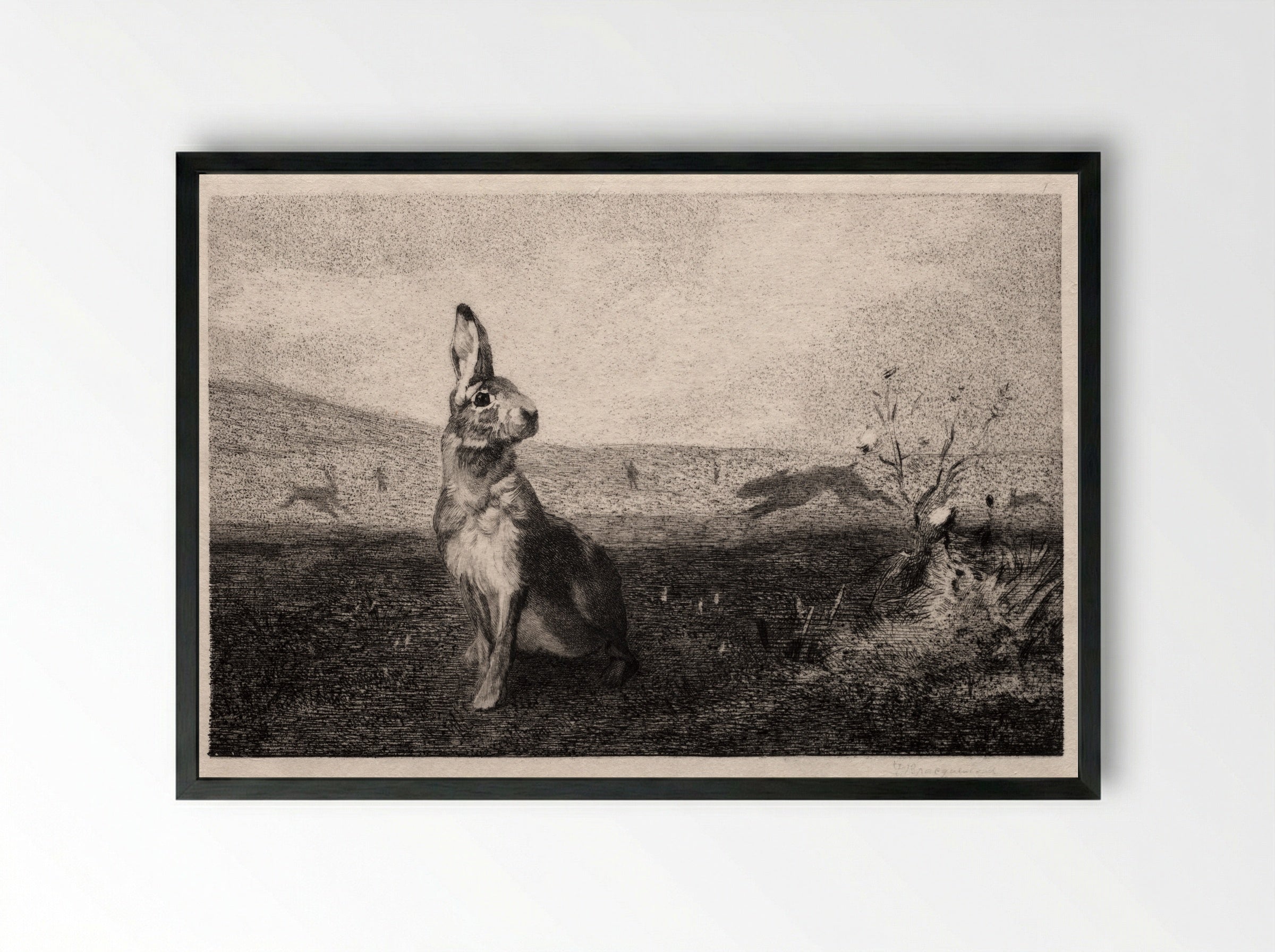 The Hare (after A. de Balleroy) - Félix Bracquemond - Framed Print Black