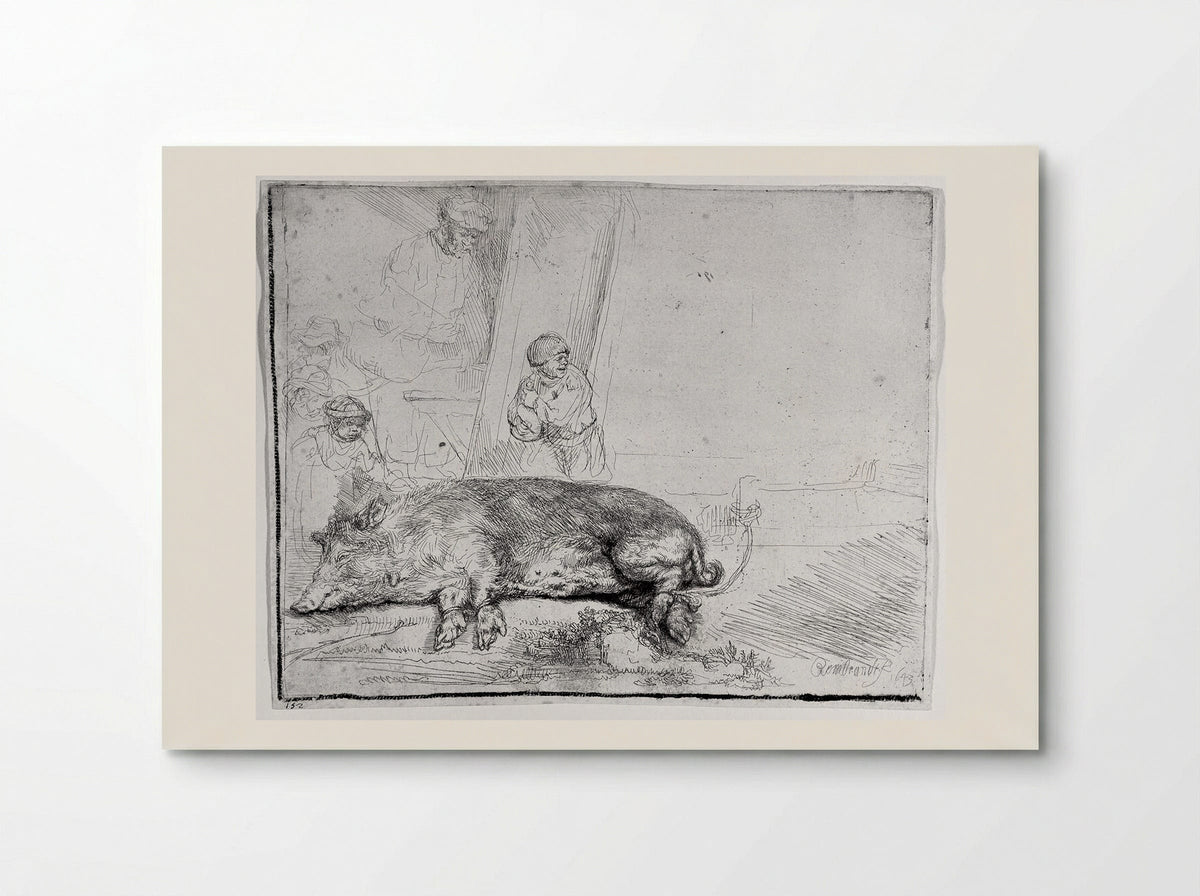 The Hog - Rembrandt Harmensz. van Rijn - Poster