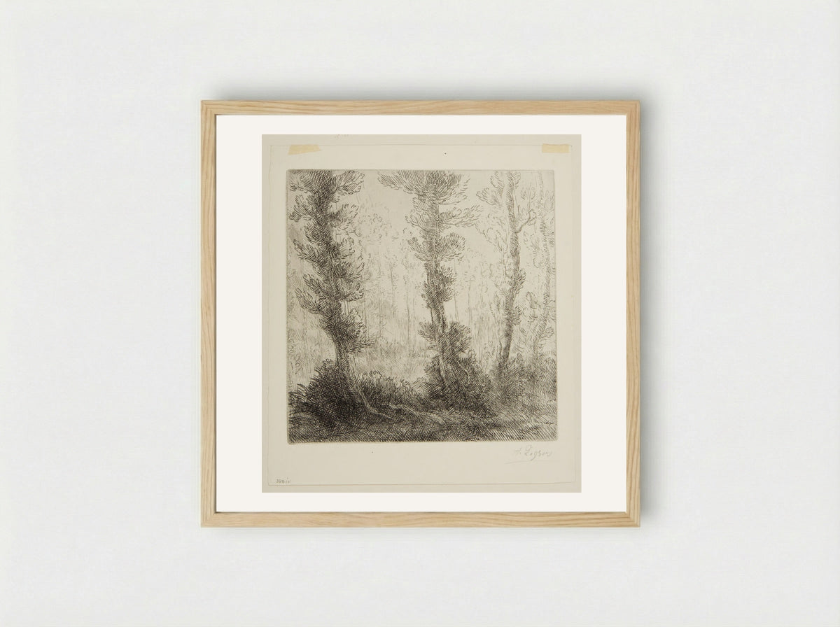 The Little Lake - Alphonse Legros - Framed Print Wood