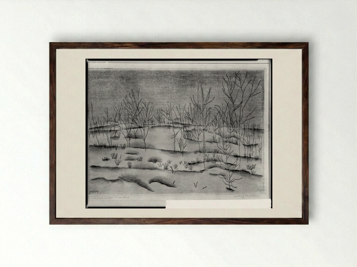 The Loneliness of an American Winter - Ludwig Mestler - Framed Print Dark Wood