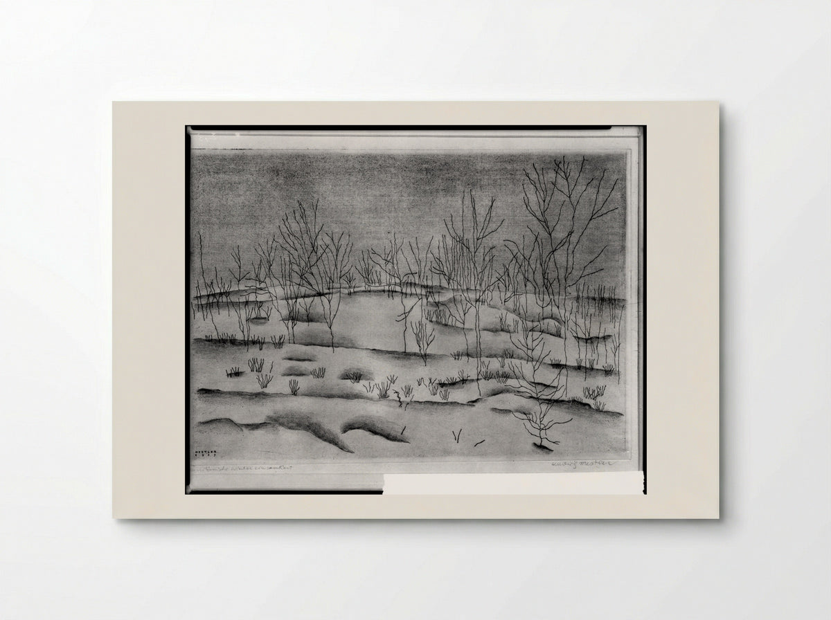 The Loneliness of an American Winter - Ludwig Mestler - Poster