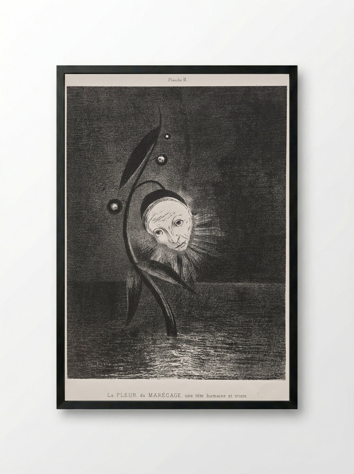 The Marsh Flower, a Sad Human Head - Odilon Redon - Framed Print Black