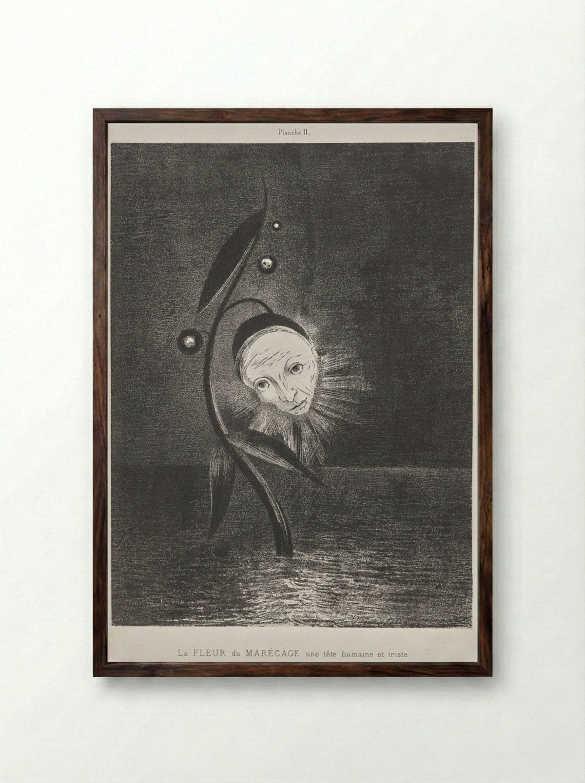 The Marsh Flower, a Sad Human Head - Odilon Redon - Framed Print Dark Wood
