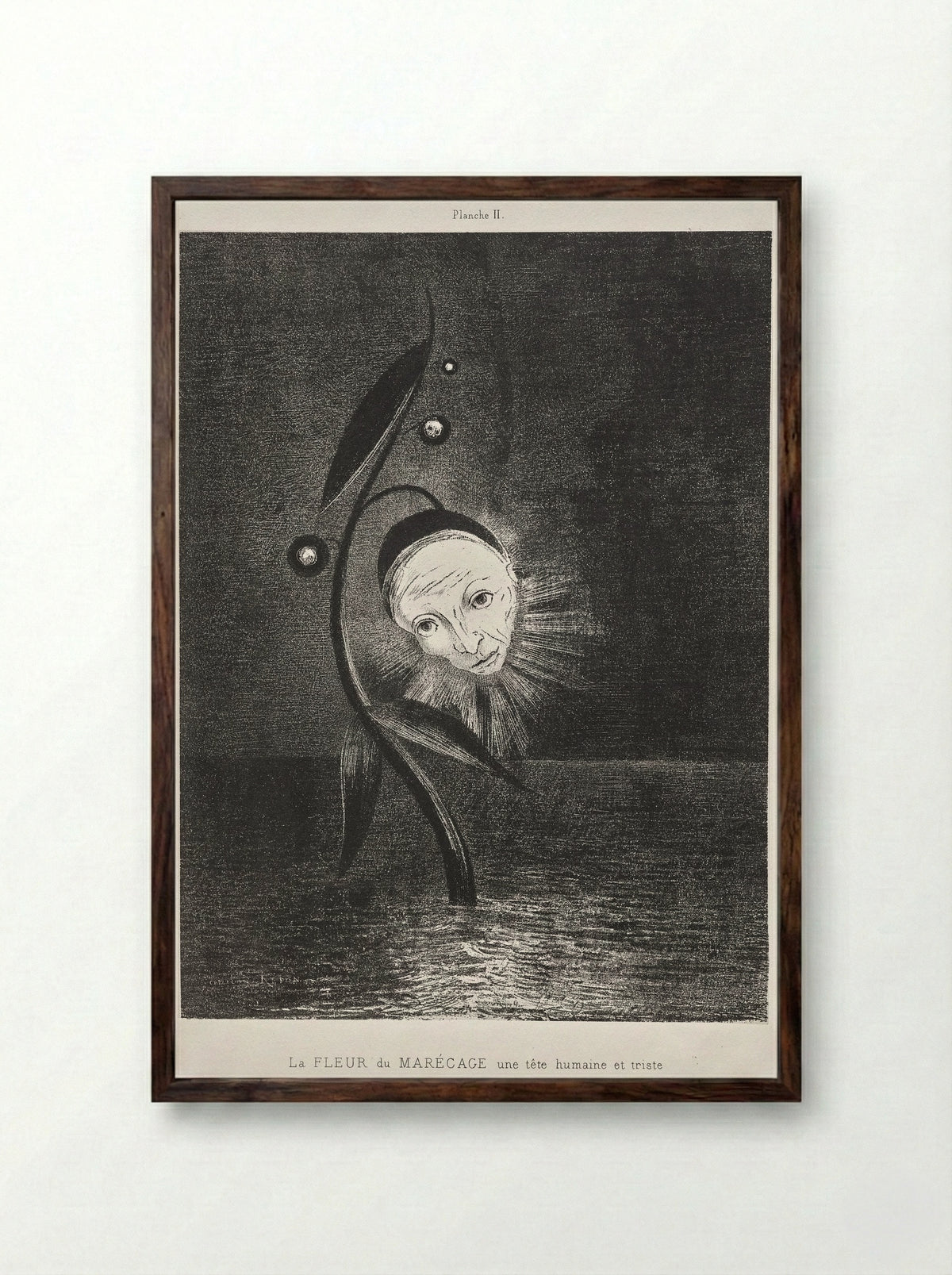 The Marsh Flower, a Sad Human Head - Odilon Redon - Framed Print Dark Wood