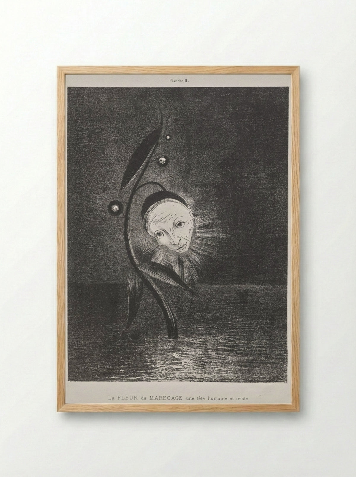 The Marsh Flower, a Sad Human Head - Odilon Redon - Framed Print Wood