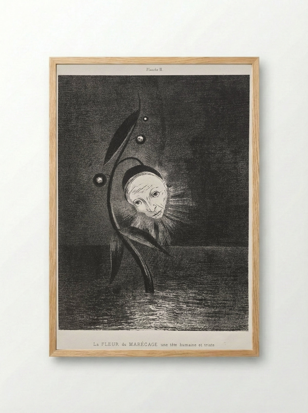 The Marsh Flower, a Sad Human Head - Odilon Redon - Framed Print Wood
