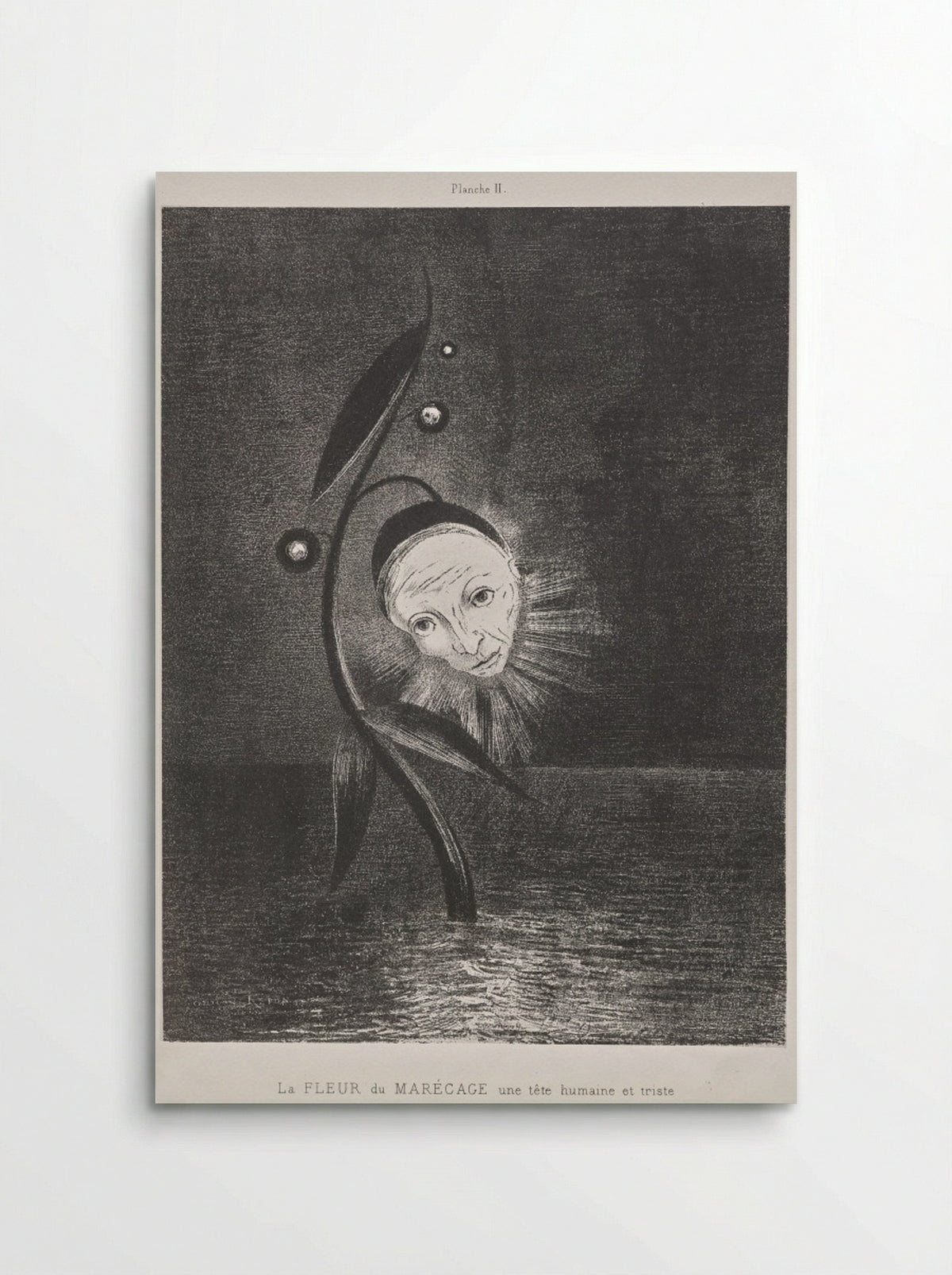 The Marsh Flower, a Sad Human Head - Odilon Redon - Poster